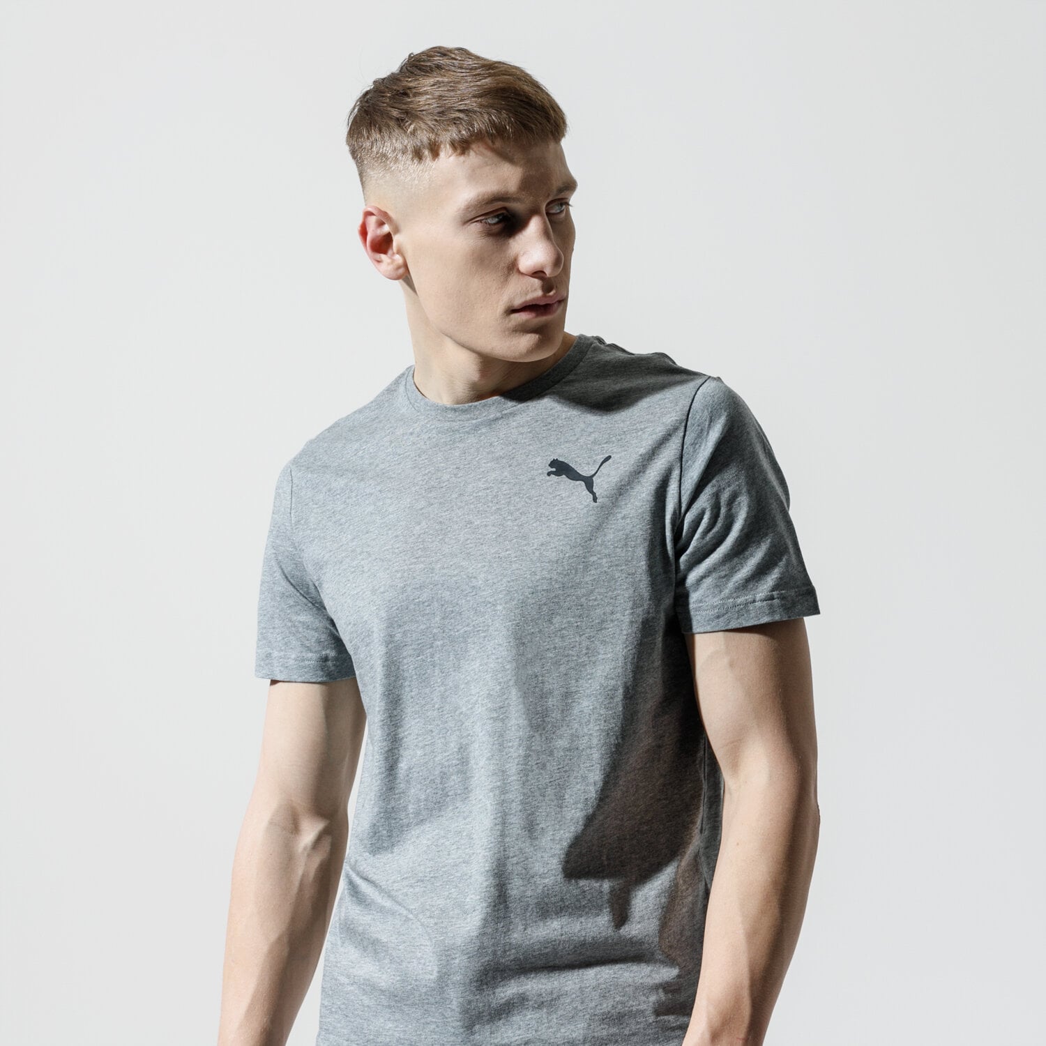 Koszulka, t-shirt sportowy męski PUMA T-SHIRT ESS SMALL LOGO TEE 85174123 SZARY