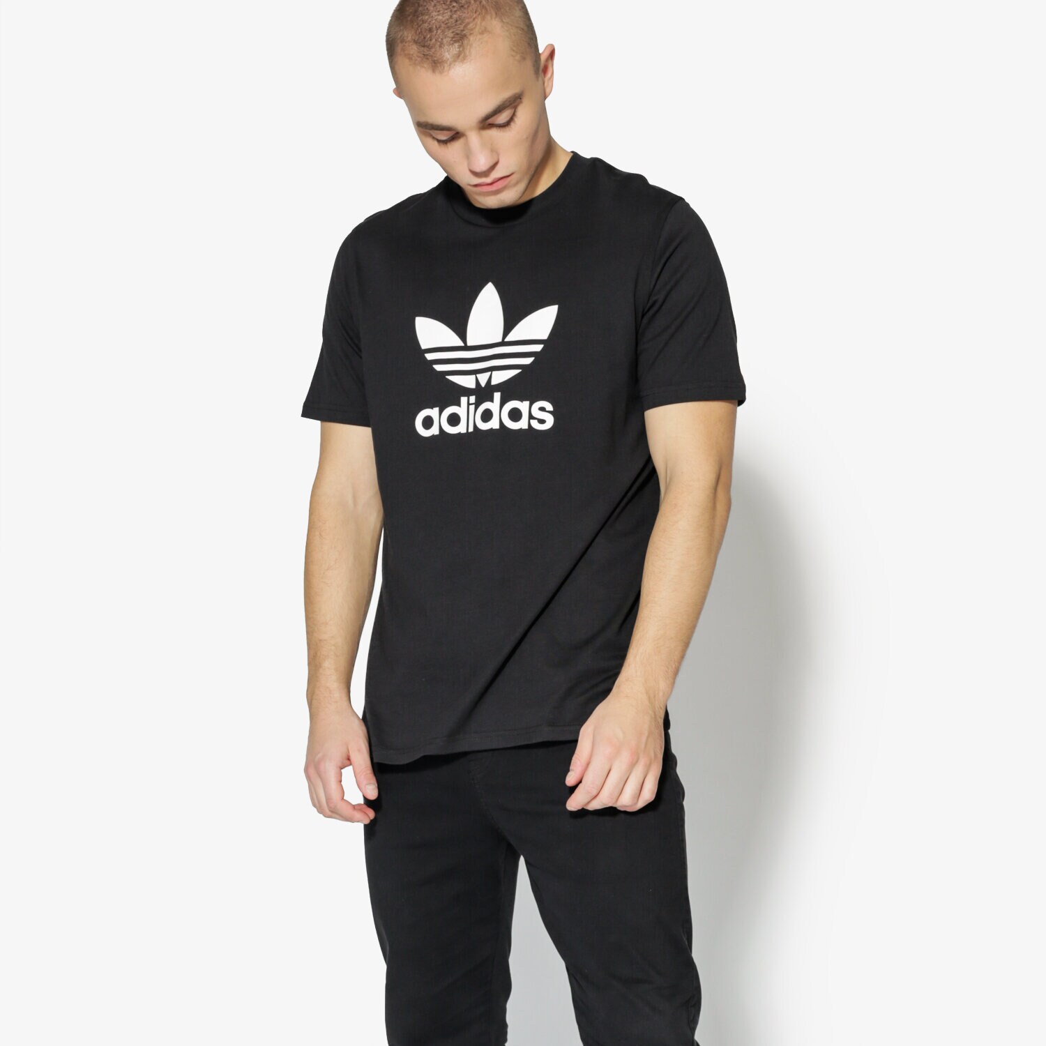Koszulka, t-shirt sportowy męski ADIDAS T-SHIRT SS TREFOIL T-SHIRT ADICOLOR CW0709 CZARNY