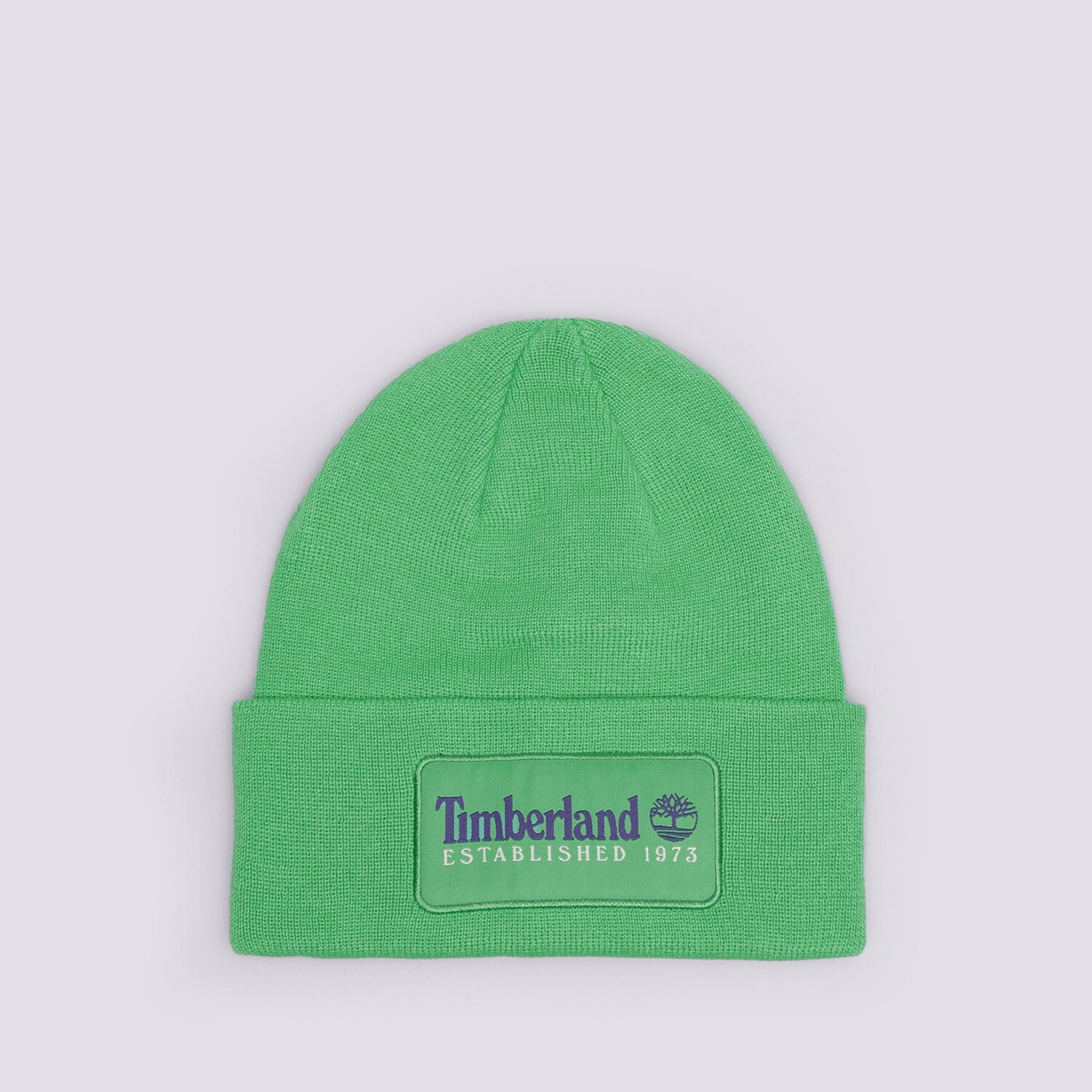 Czapka zimowa dla dzieci TIMBERLAND CZAPKA ESTABLISHED 1973 TB0A2PTDH311 ZIELONY