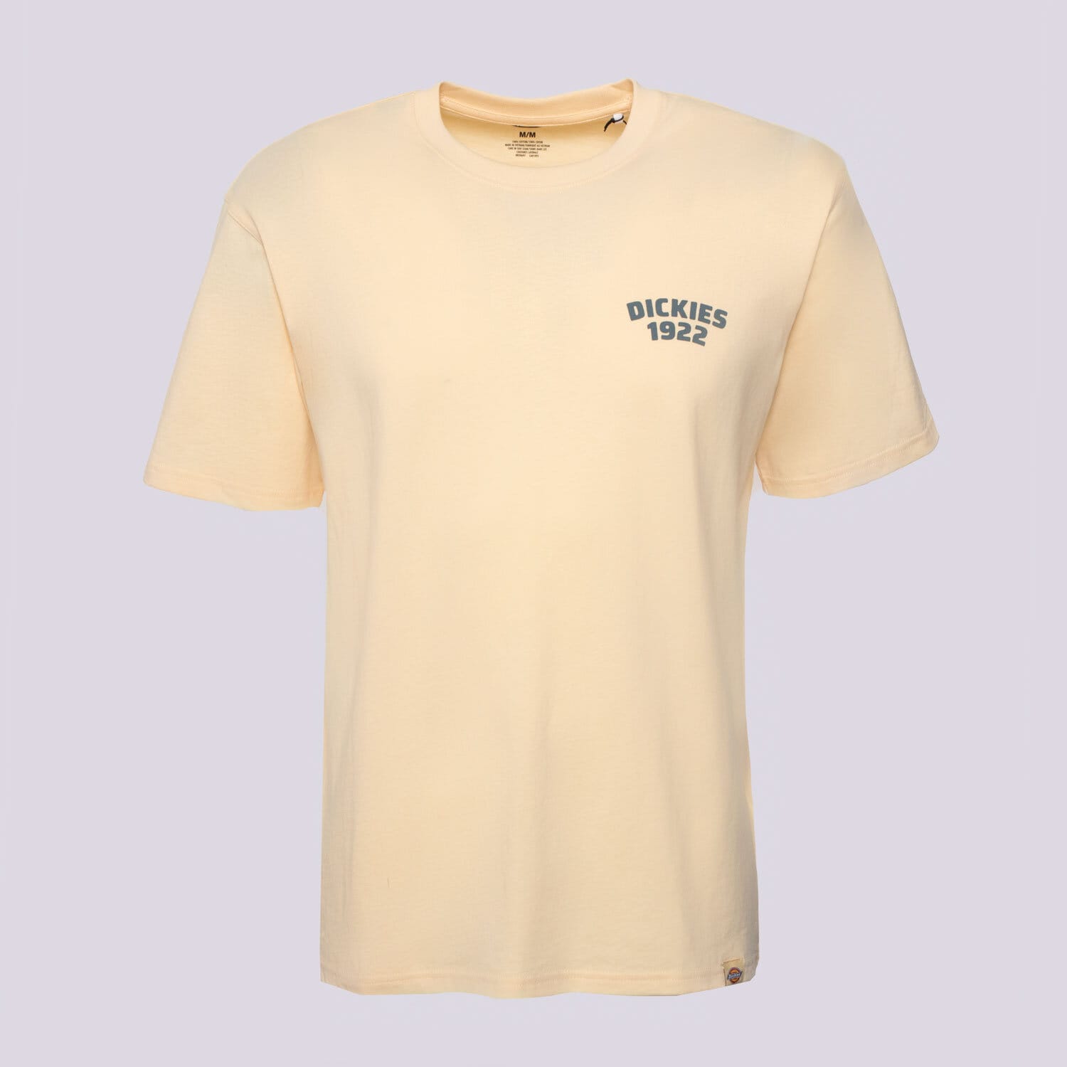 Koszulka, t-shirt sportowy męski DICKIES T-SHIRT MECHANIC SS TEE DK0A4Z96K531 BEŻOWY