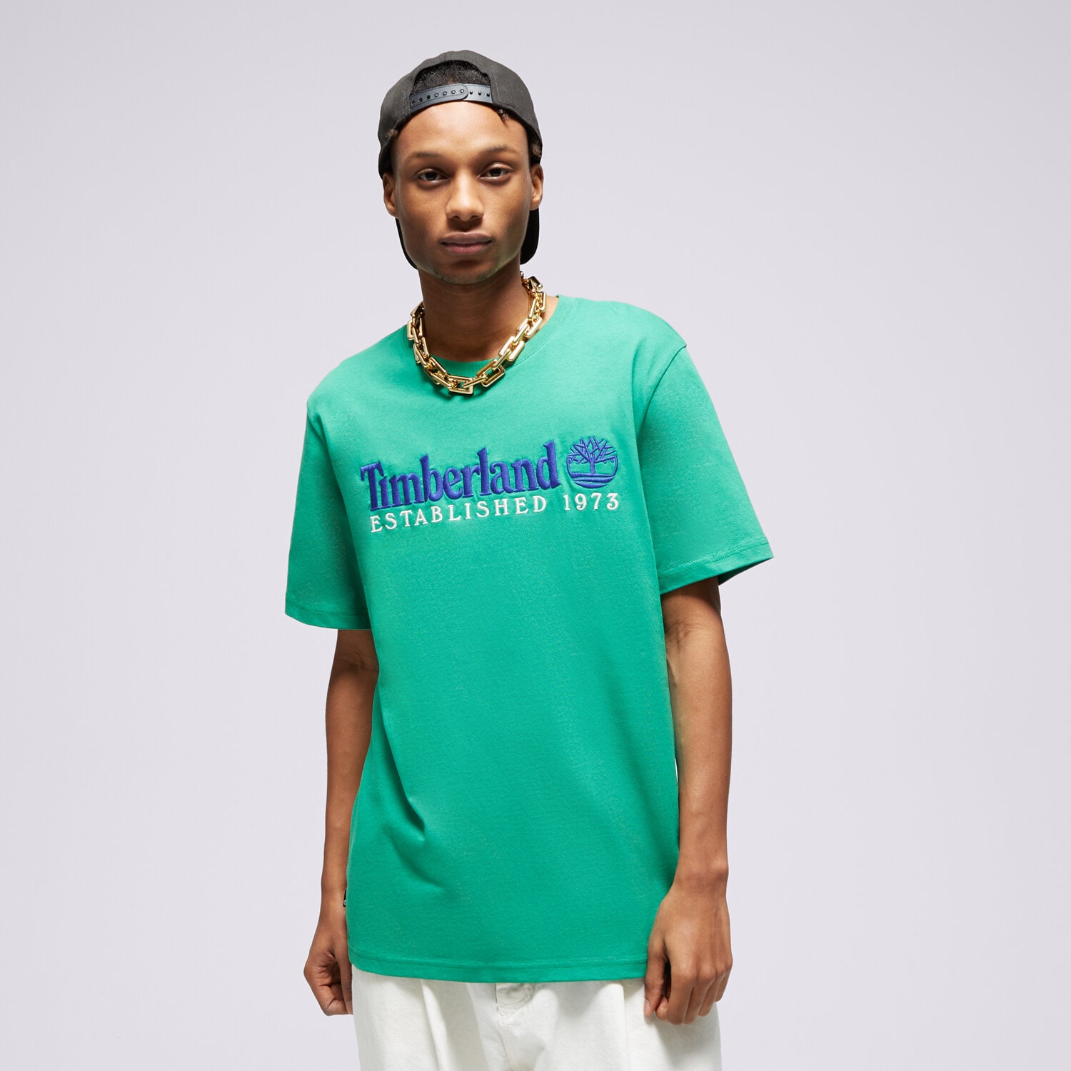 Koszulka, t-shirt sportowy męski TIMBERLAND T-SHIRT SS EST. 1973 CREW TEE REGULAR TB0A6SE1ED31 ZIELONY