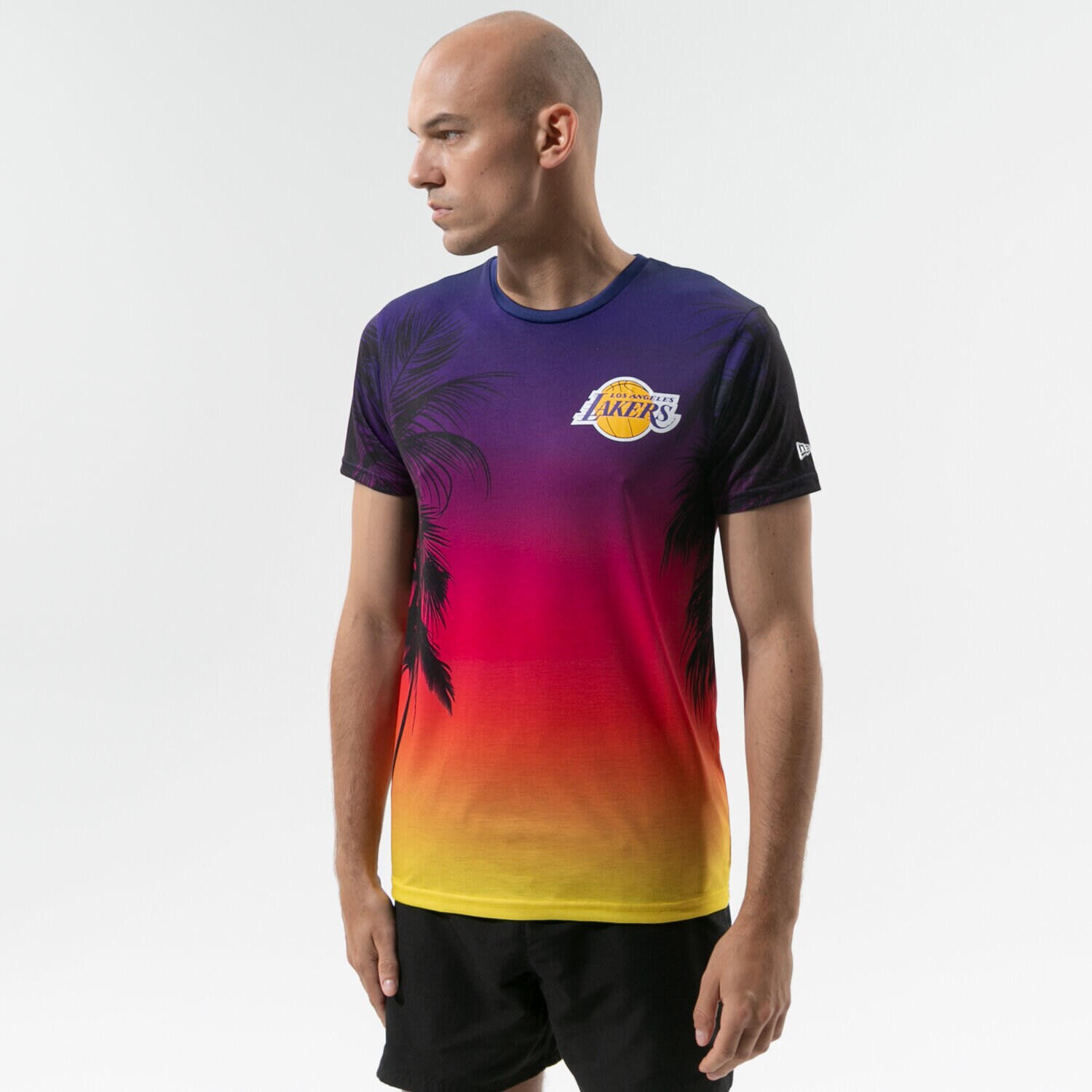Koszulka, t-shirt sportowy męski NEW ERA T-SHIRT SS NBA COASTAL HEAT TEE LA LAKERS LOS ANGELE 11569521 MULTICOLOR