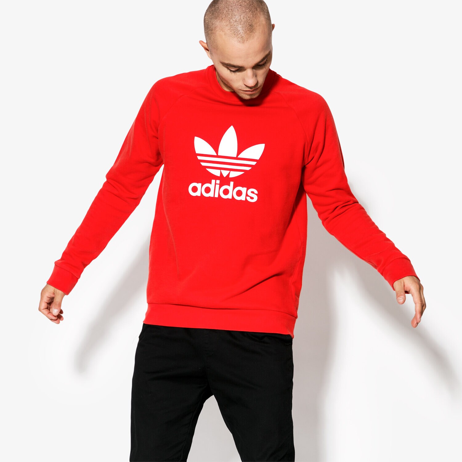 Adidas bluza trefoil crew adicolor store