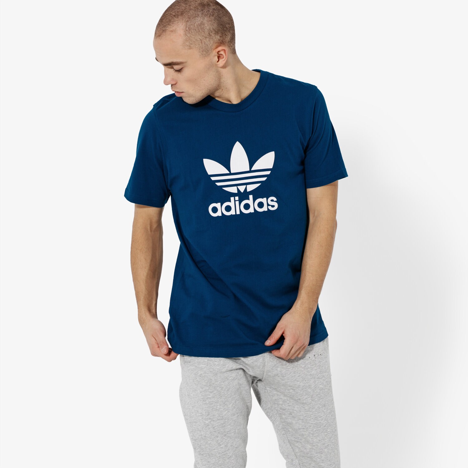 Koszulka, t-shirt sportowy męski ADIDAS T-SHIRT SS TREFOIL T-SHIRT ADICOLOR DV1603 NIEBIESKI