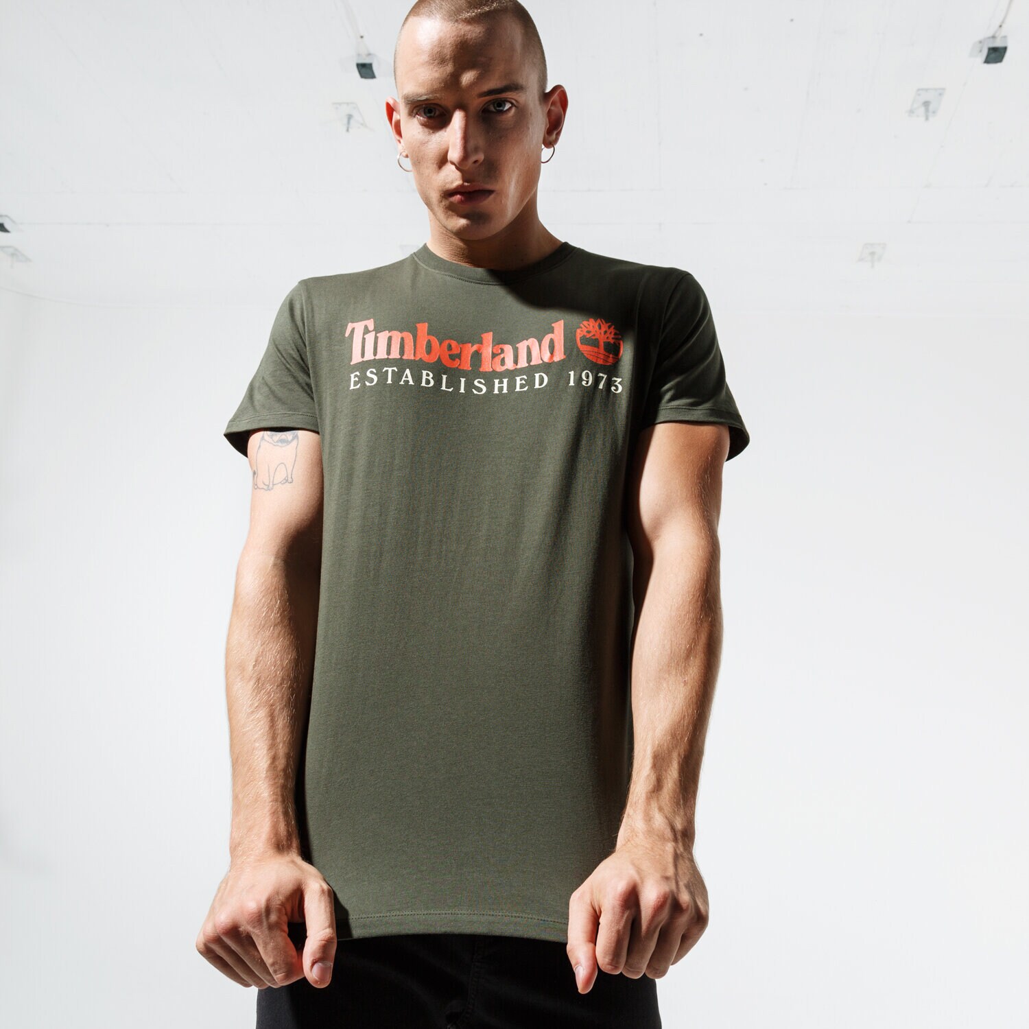 Koszulka, t-shirt sportowy męski TIMBERLAND T-SHIRT SS SS ESTABLISHED 1973 TEE TB0A1YVGU311 ZIELONY