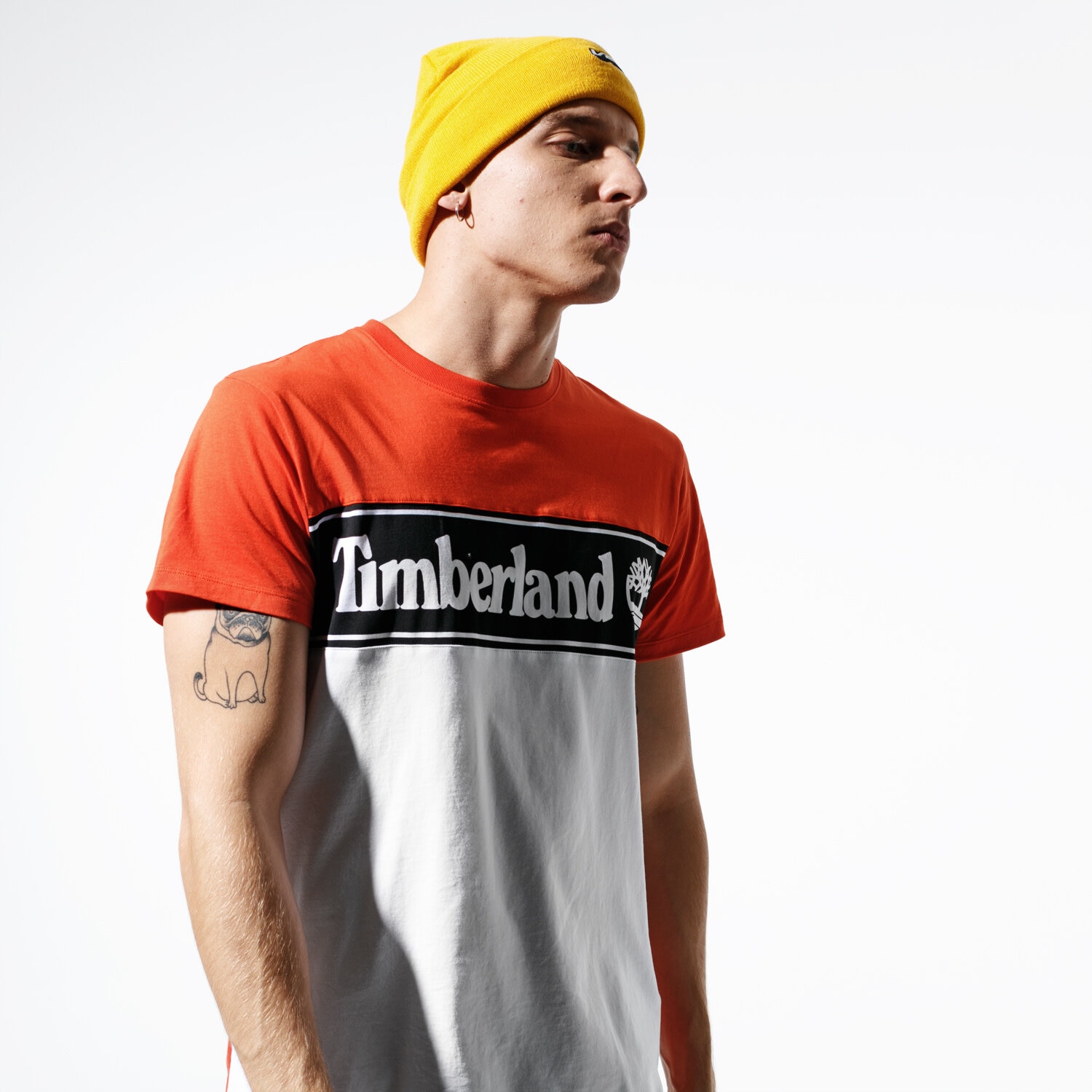 Koszulka, t-shirt sportowy męski TIMBERLAND T-SHIRT SS SS CUT & SEW LINEAR LOGO TEE TB0A1OA48451 MULTICOLOR