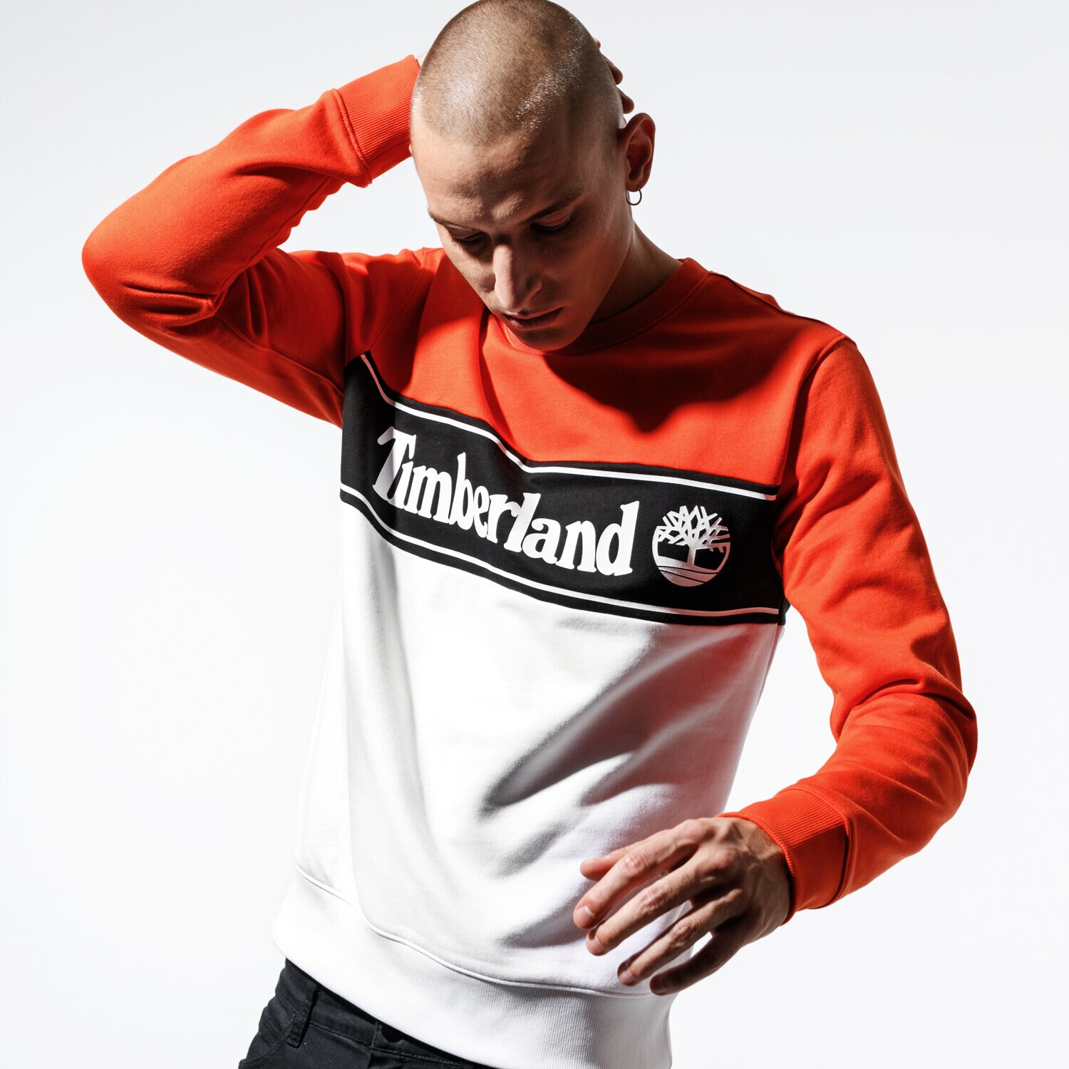 Bluza męska TIMBERLAND BLUZA CUT & SEW LINEAL LOGO SWEATSHIRT TB0A1O9U8451 MULTICOLOR
