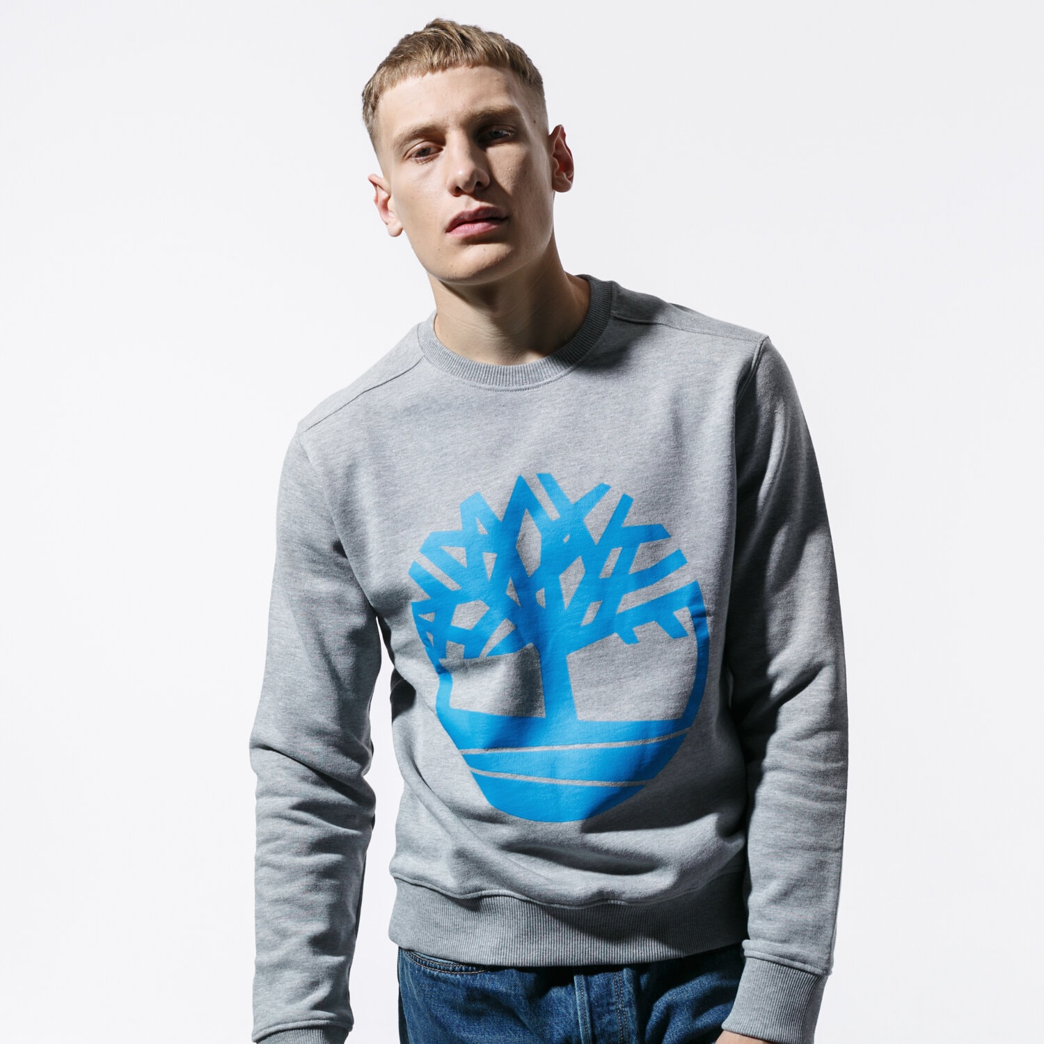 Bluza męska TIMBERLAND BLUZA CORE TREE LOGO CREW SWEAT TB0A1ZKC0521 SZARY