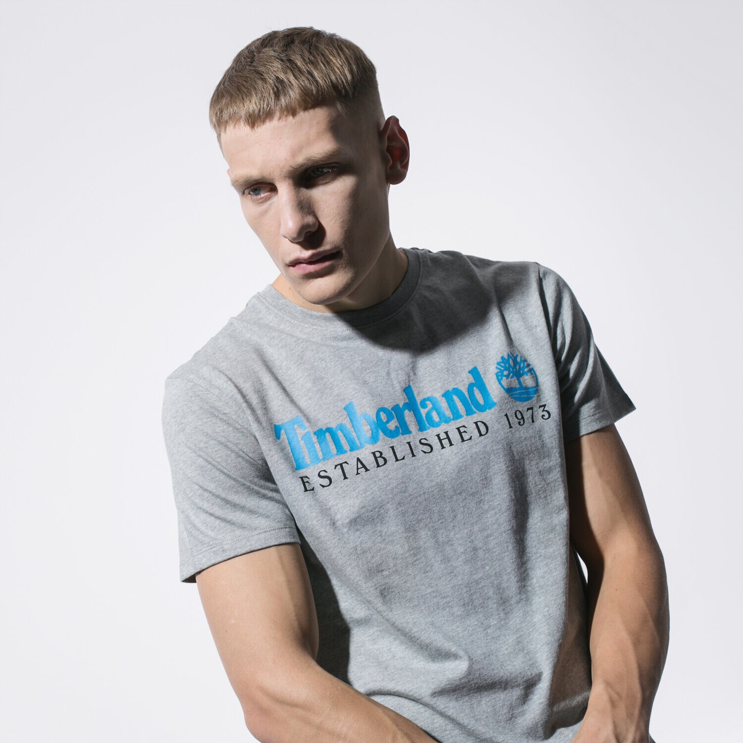 Koszulka, t-shirt sportowy męski TIMBERLAND T-SHIRT SS SS ESTABLISHED 1973 TEE TB0A1YVG0521 SZARY