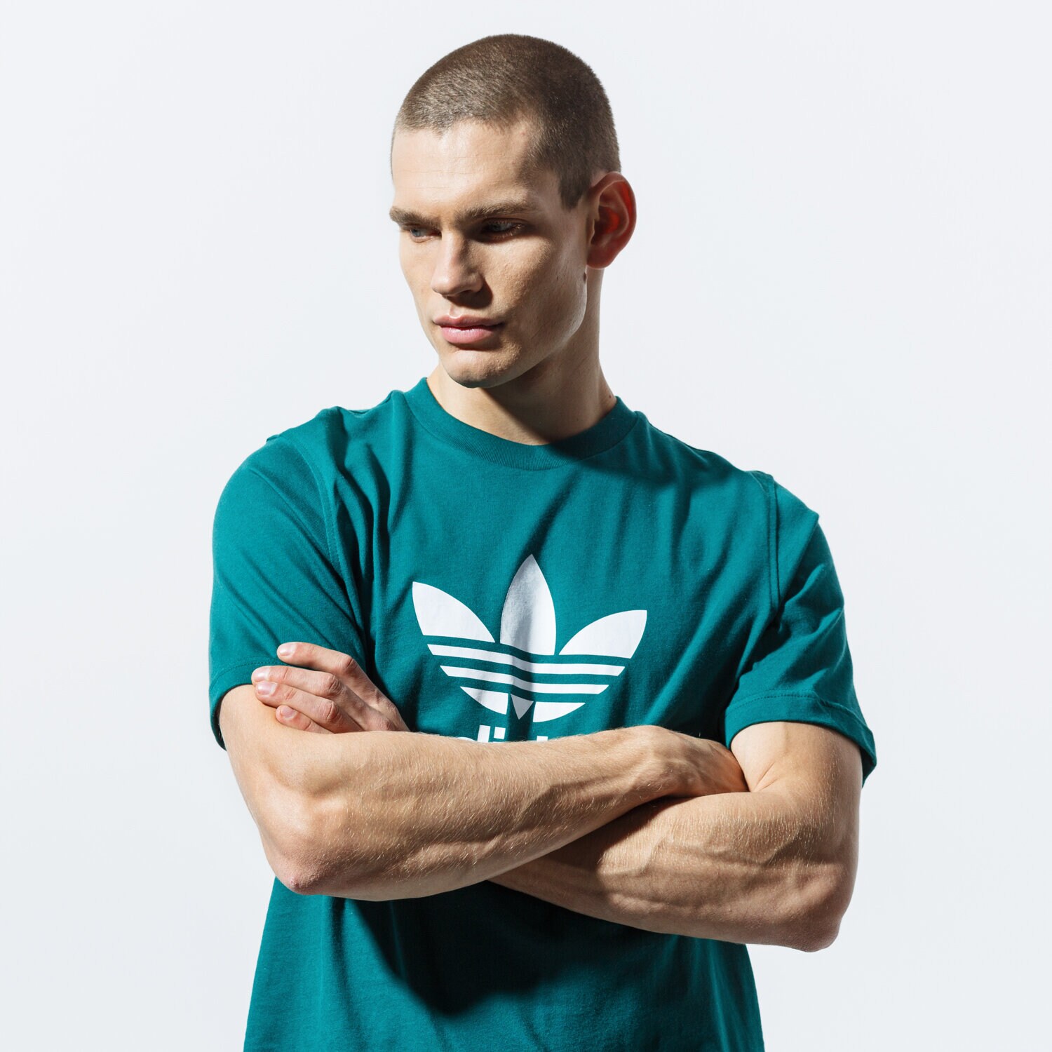 Koszulka, t-shirt sportowy męski ADIDAS T-SHIRT SS TREFOIL T-SHIRT EJ9677 ZIELONY