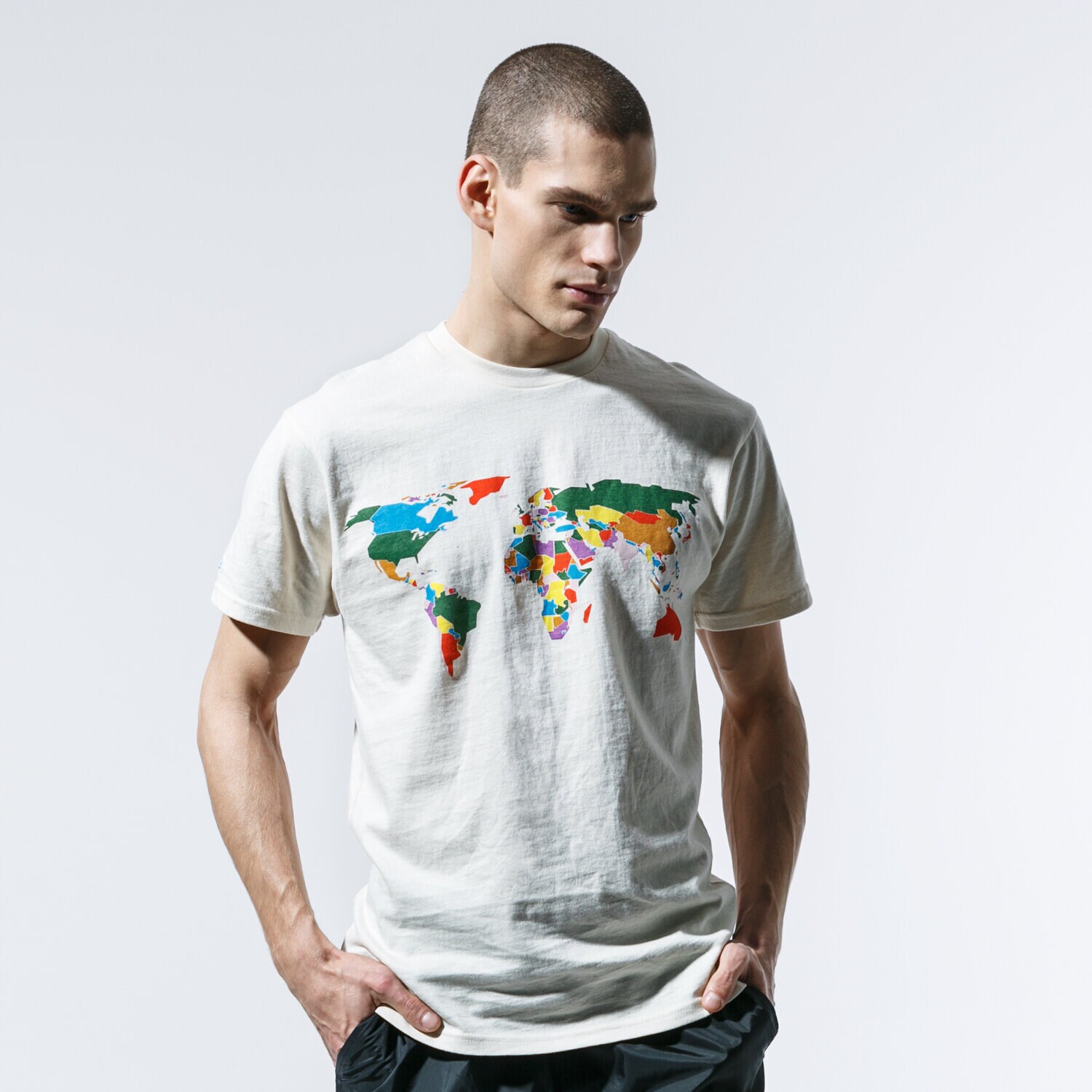 Koszulka, t-shirt sportowy męski VANS T-SHIRT MN SAVE OUR PLANET S NATURAL VN0A49KL7VJ1 MULTICOLOR