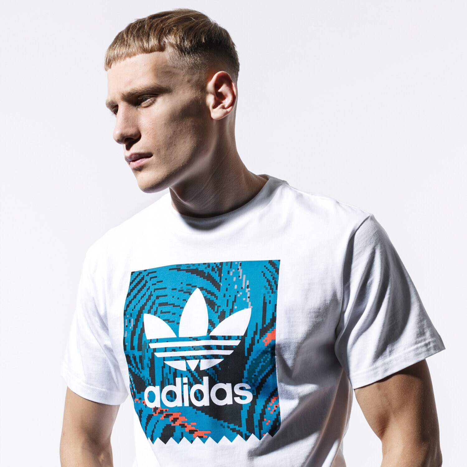 Koszulka, t-shirt sportowy męski ADIDAS T-SHIRT SS BB PRINT TEE 2 EC7361 BIAŁY