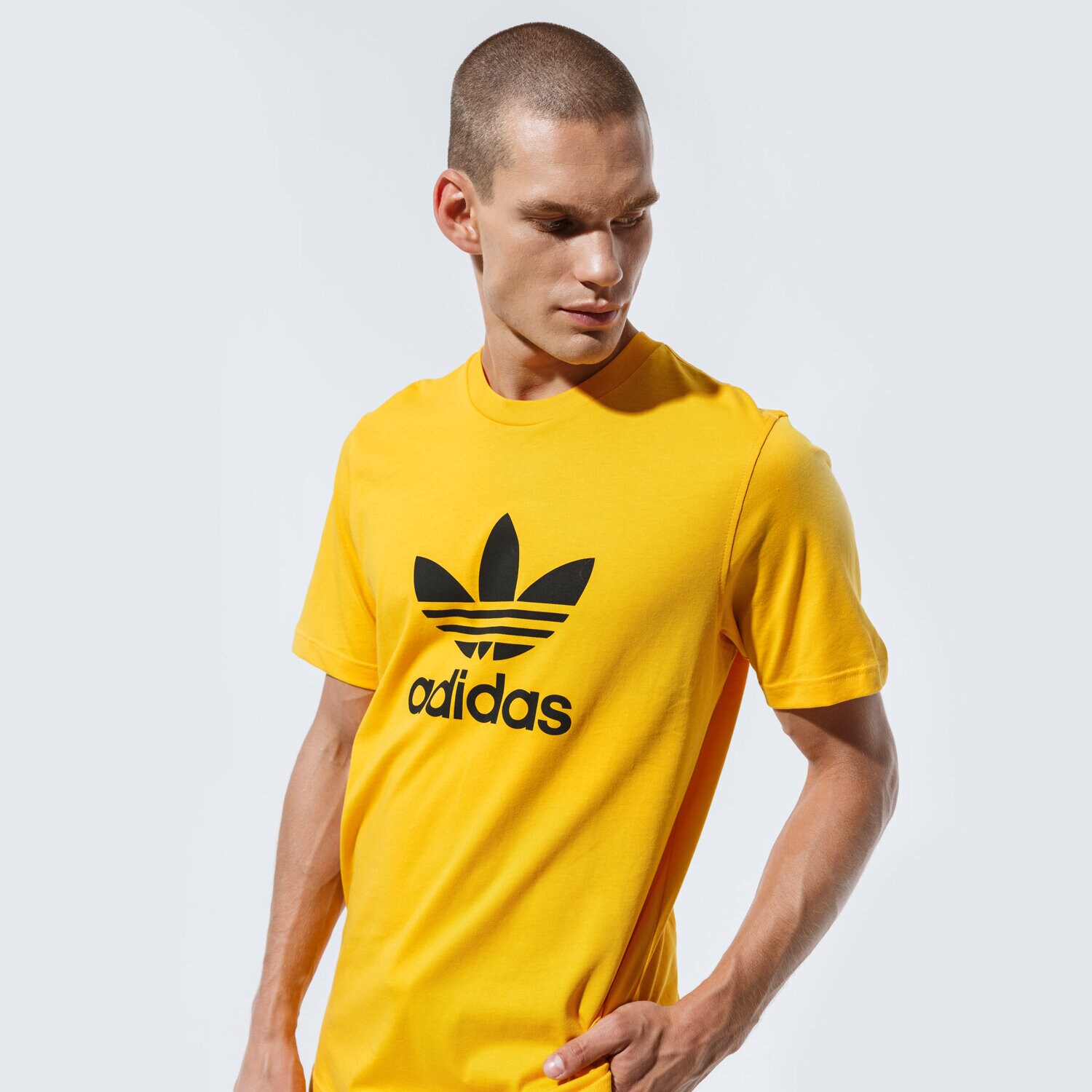 Koszulka, t-shirt sportowy męski ADIDAS T-SHIRT TREFOIL T-SHIRT GD9913 ŻÓŁTY