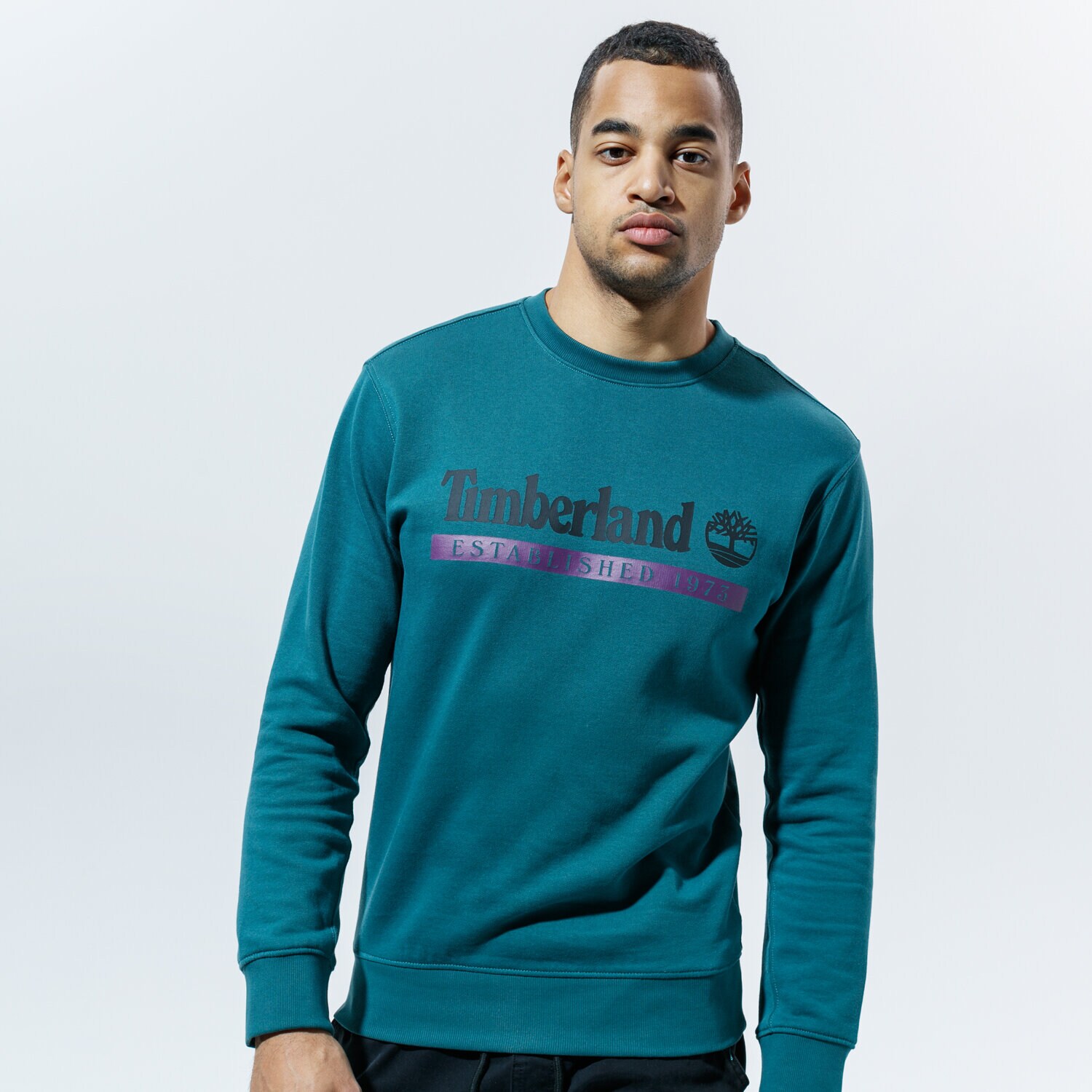 Bluza męska TIMBERLAND BLUZA YC ESTABLISHED 1973 CREW NECK TB0A2AMHAQ91 ZIELONY