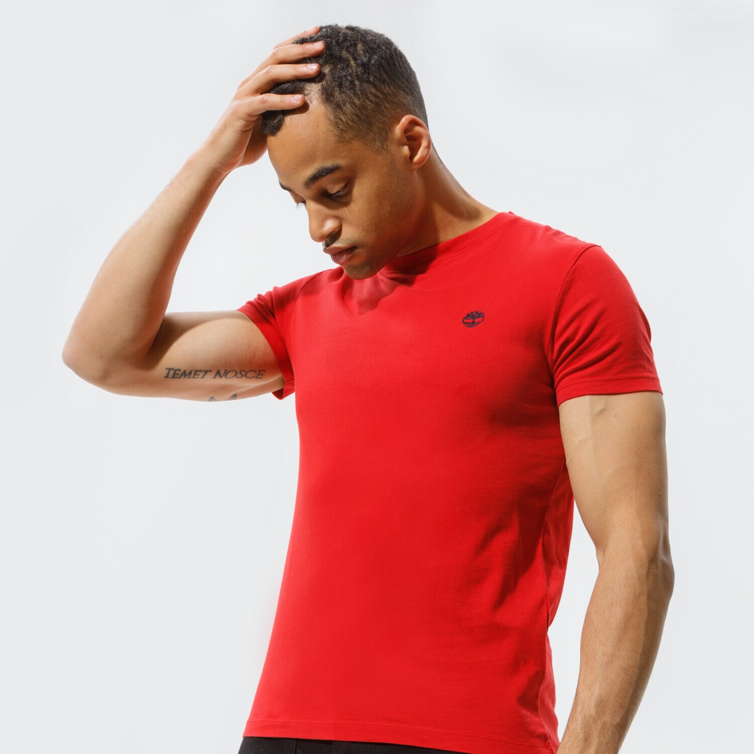 Koszulka, t-shirt sportowy męski TIMBERLAND T-SHIRT SS DUNSTAN RIVER JERSEY CREW TEE (SLIM) TB0A2BPRP921 CZERWONY