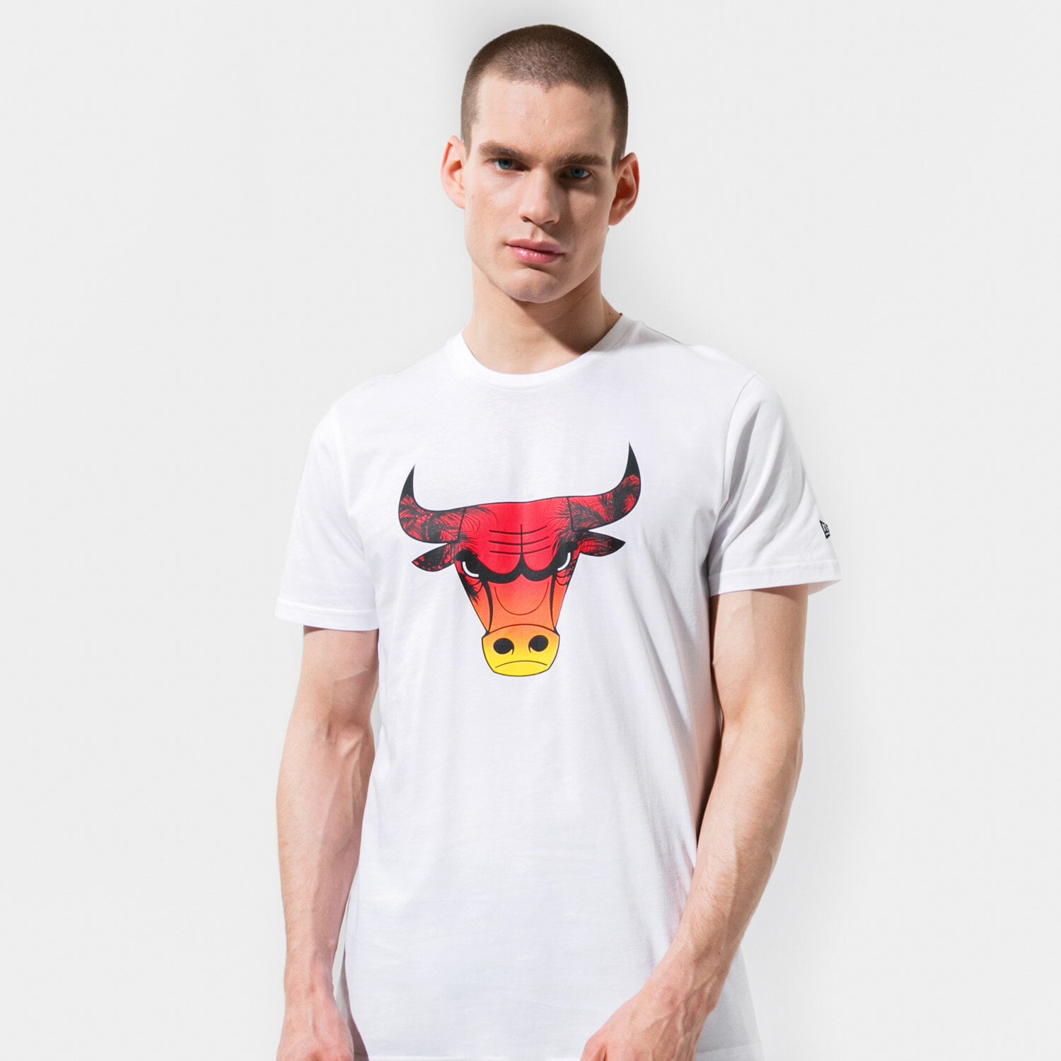 Koszulka, t-shirt sportowy męski NEW ERA T-SHIRT SUMMER CITY INFILL BULLS 12720094 BIAŁY