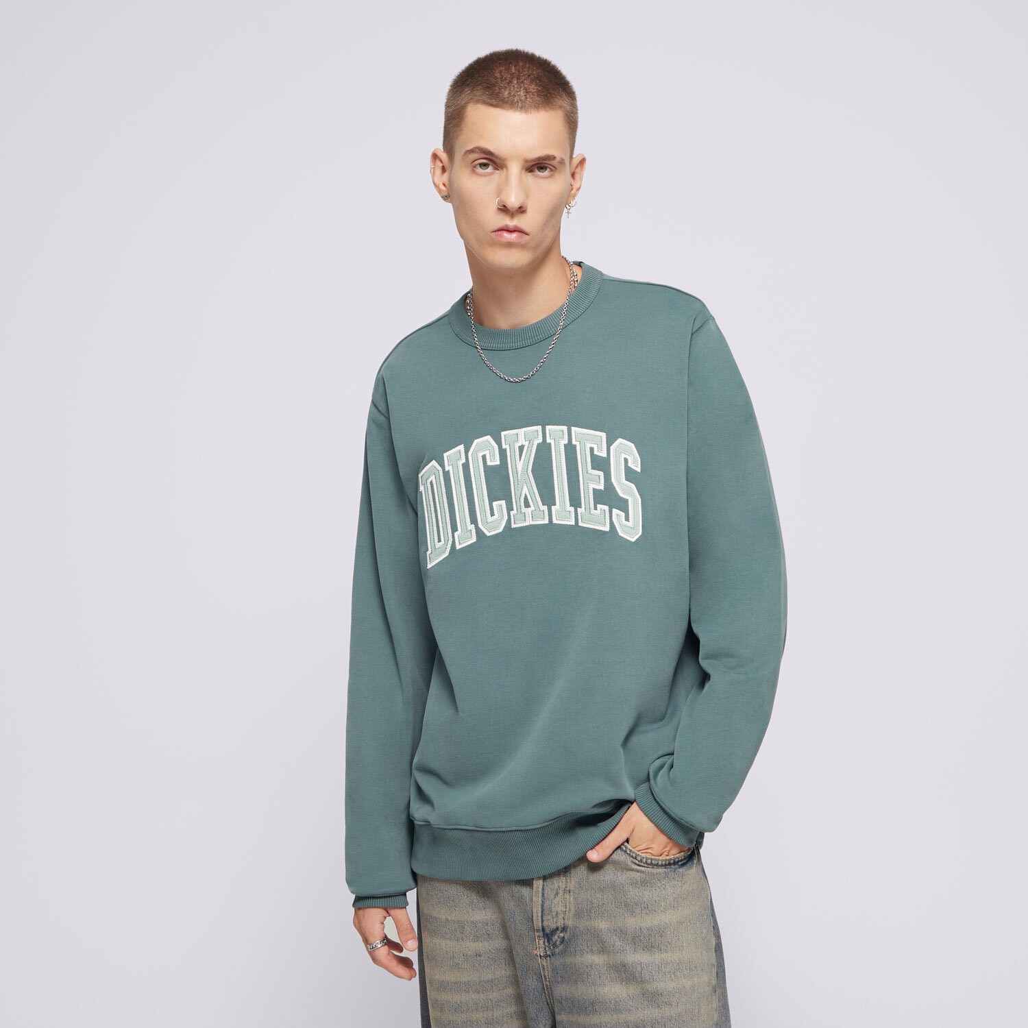 Bluza męska DICKIES BLUZA AITKIN SWEATSHIRT DK0A4XABJ951 ZIELONY