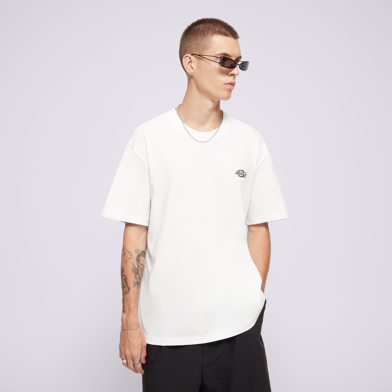 Koszulka, t-shirt sportowy męski DICKIES T-SHIRT SUMMERDALE SS TEE DK0A4YAIWHX1 BIAŁY
