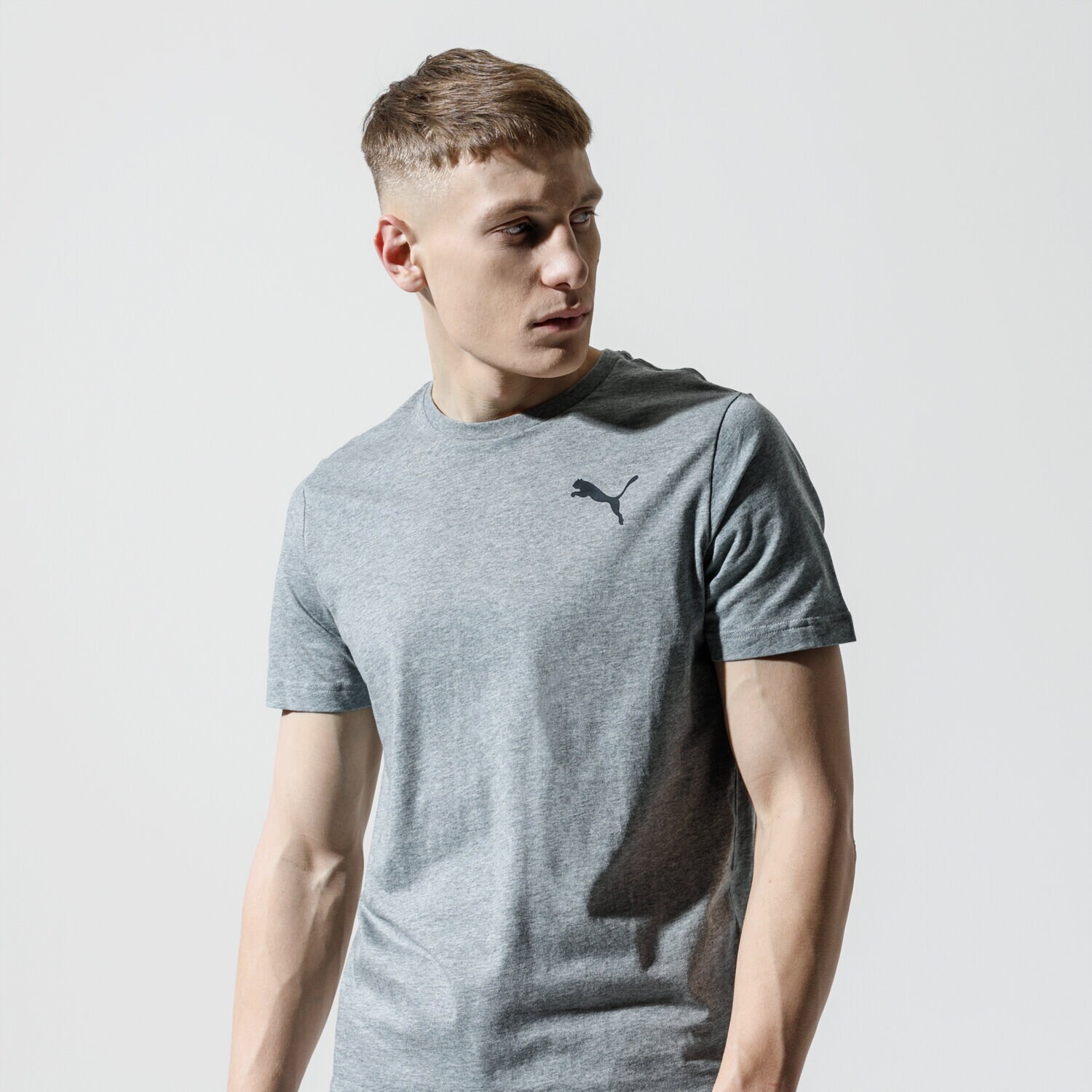 Koszulka, t-shirt sportowy męski PUMA T-SHIRT ESS SMALL LOGO TEE 85174123 SZARY