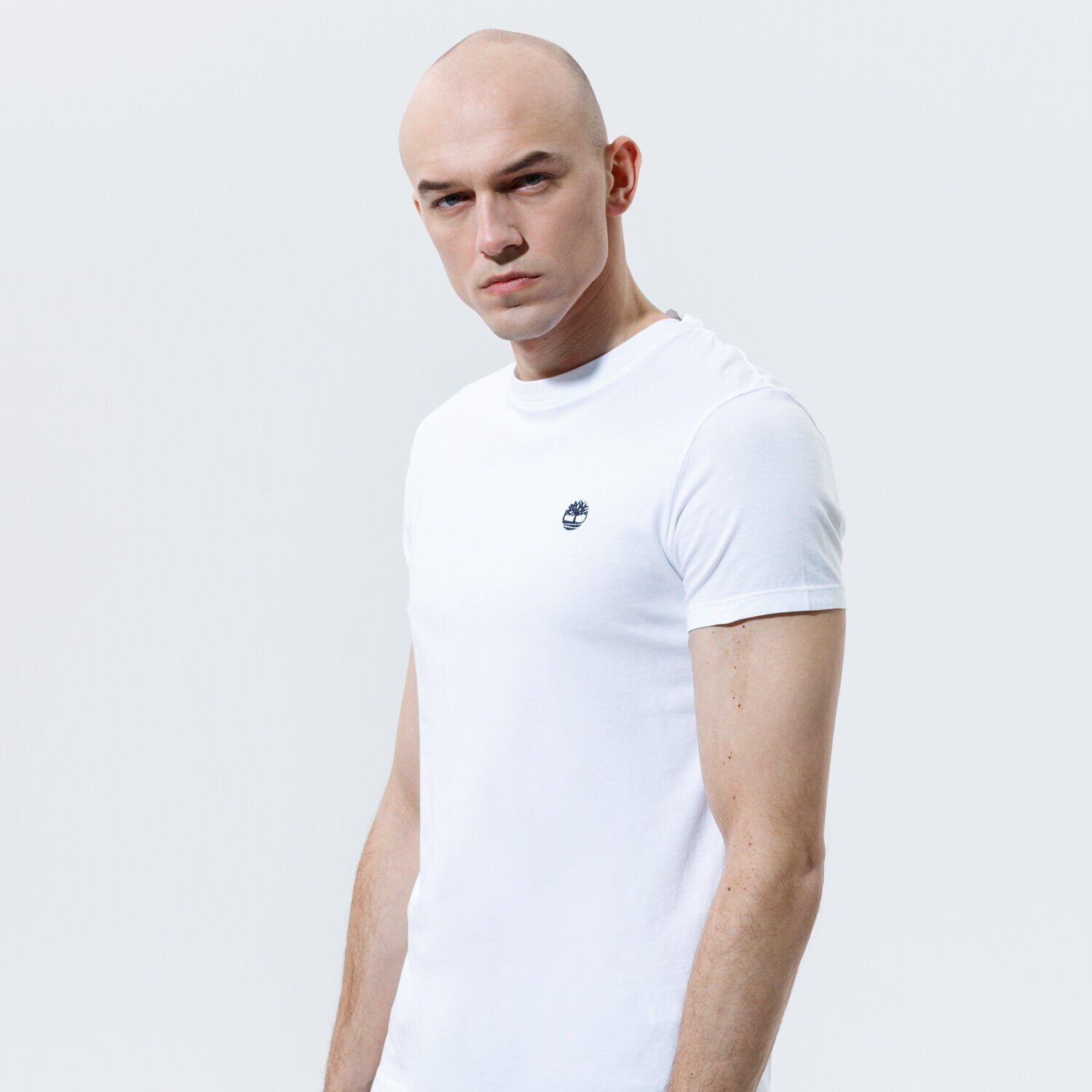 Koszulka, t-shirt sportowy męski TIMBERLAND T-SHIRT SS DUNSTAN JERSEY CREW TEE SLIM TB0A2BPR1001 BIAŁY