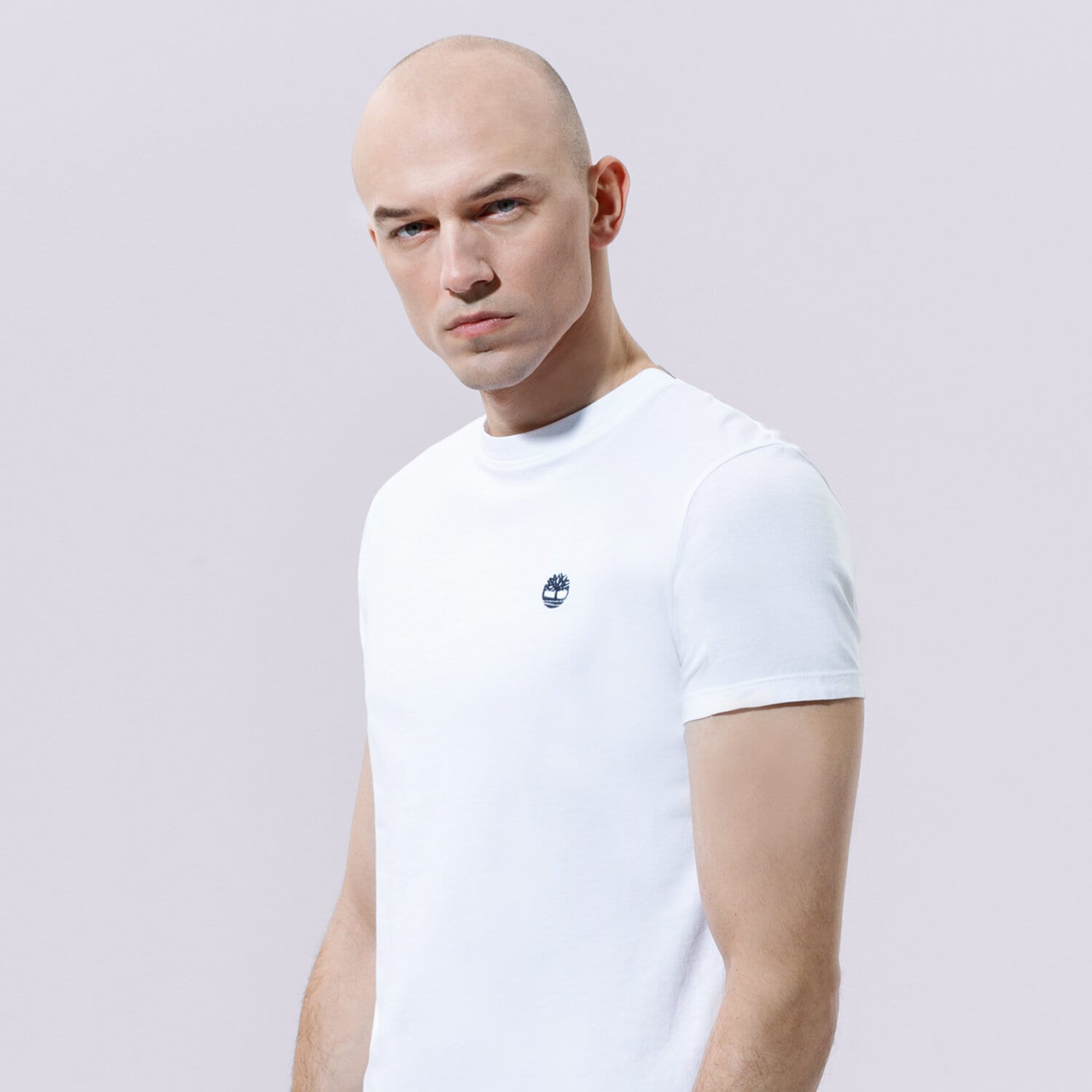 Koszulka, t-shirt sportowy męski TIMBERLAND T-SHIRT SS DUNSTAN JERSEY CREW TEE SLIM TB0A2BPR1001 BIAŁY