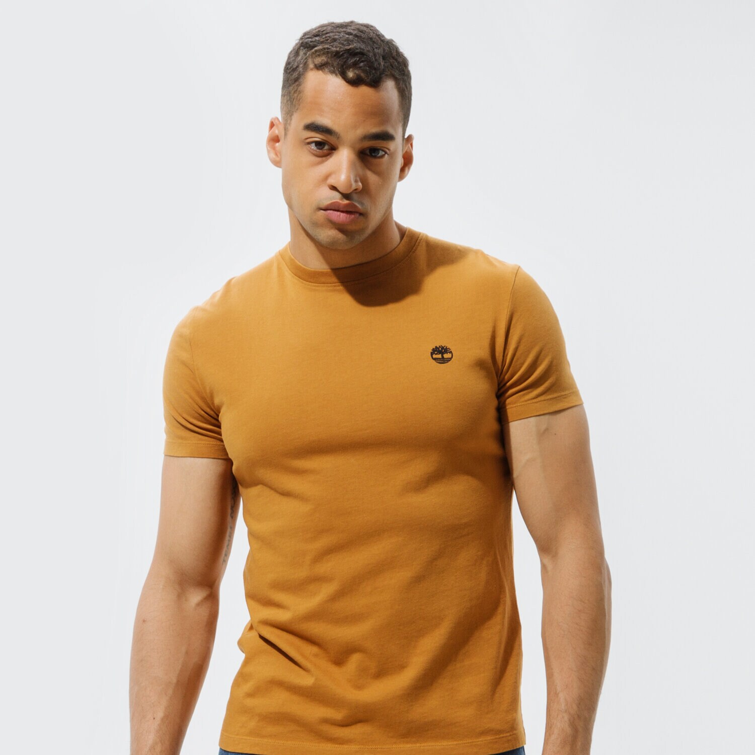 Koszulka, t-shirt sportowy męski TIMBERLAND T-SHIRT SS DUNSTAN RIVER JERSEY CREW TEE (SLIM) TB0A2BPRP471 BRĄZOWY