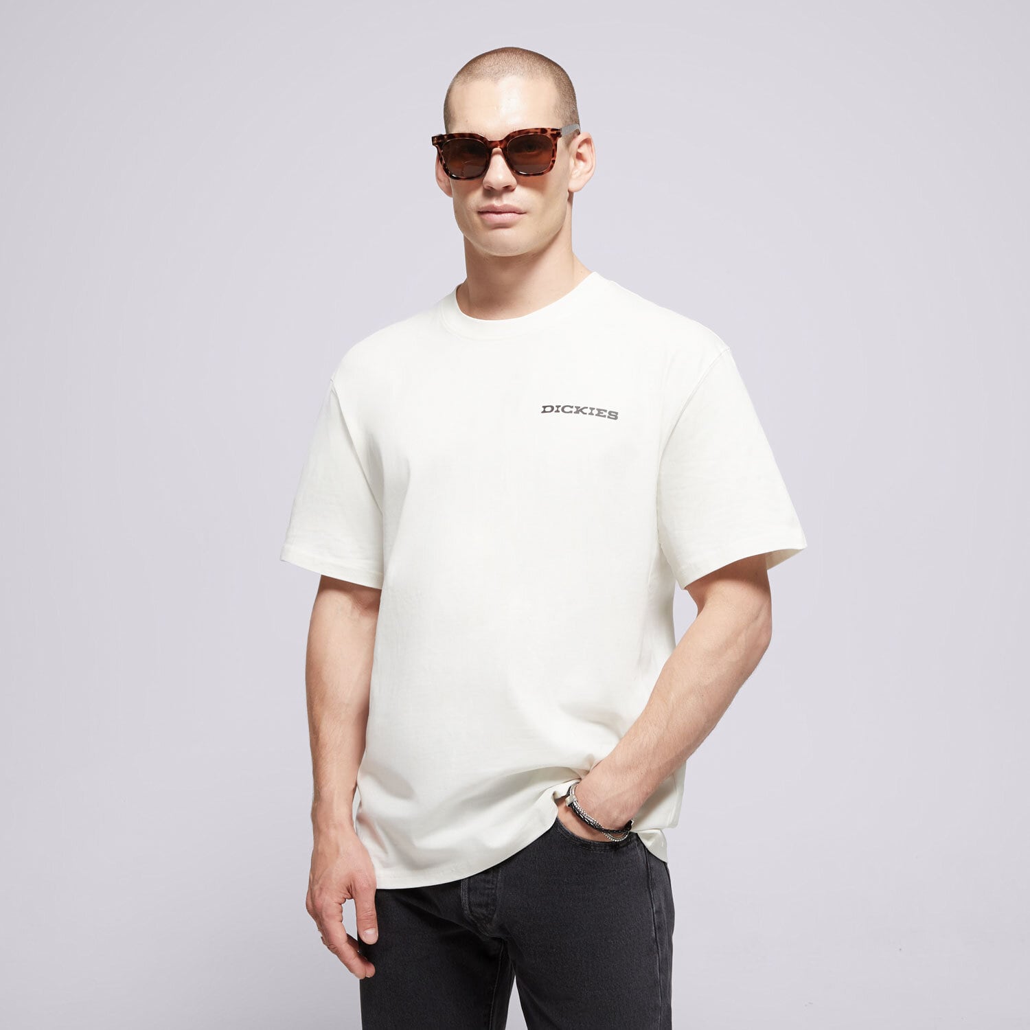 Koszulka, t-shirt sportowy męski DICKIES T-SHIRT LANDASCAPE SS TEE DK0A4Z8VC481 BIAŁY