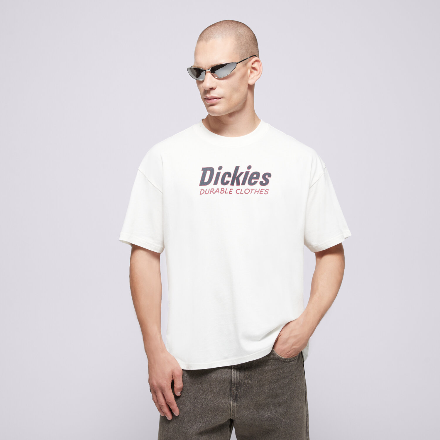 Koszulka, t-shirt sportowy męski DICKIES T-SHIRT WILLISTON TEE SS DK0A87YLC481 BEŻOWY