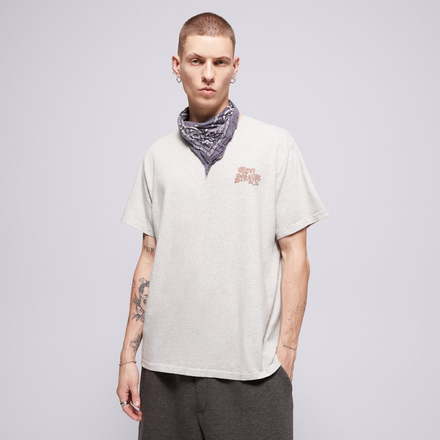 Koszulka, t-shirt sportowy męski LEVI'S T-SHIRT SS RELAXED FIT TEE GREYS 16143-1816 SZARY