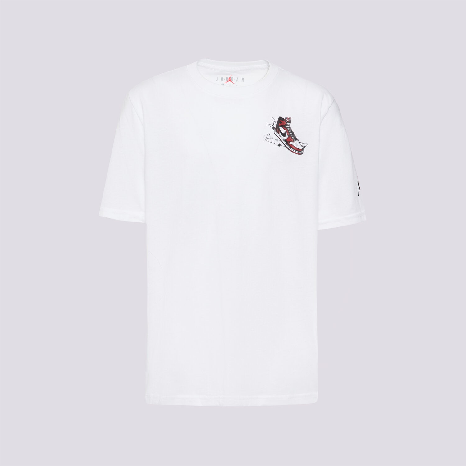 Koszulka, t-shirt dla dzieci JORDAN T-SHIRT JDB AIR JORDAN HAS LANDED SS T BOY 95F279-001 BIAŁY