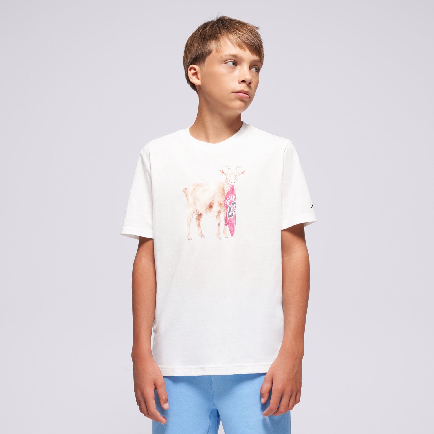 Koszulka, t-shirt dla dzieci JORDAN T-SHIRT JDB MJ FLT GOAT SS CREW BOY 95F314-001 BIAŁY