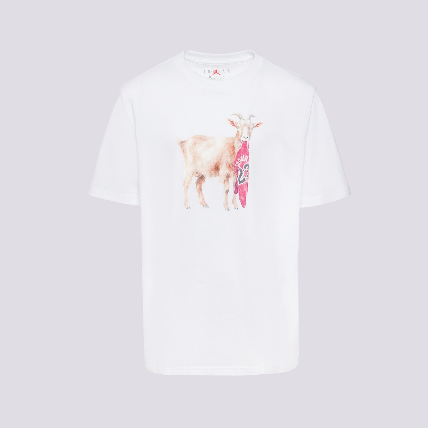 Koszulka, t-shirt dla dzieci JORDAN T-SHIRT JDB MJ FLT GOAT SS CREW BOY 95F314-001 BIAŁY