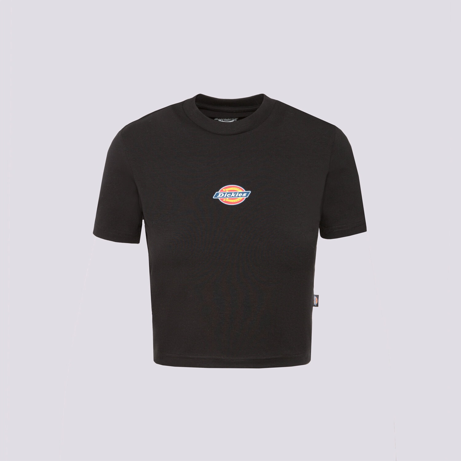 Koszulka, t-shirt damski DICKIES T-SHIRT MAPLE VALLEY TEE DK0A4XPOBLK1 CZARNY