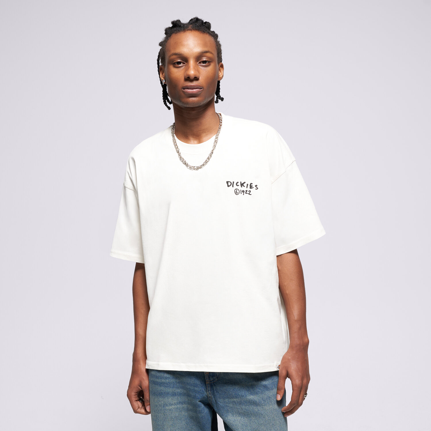 Koszulka, t-shirt sportowy męski DICKIES T-SHIRT SNEEDVILLE TEE SS DK0A87QOC481 BEŻOWY
