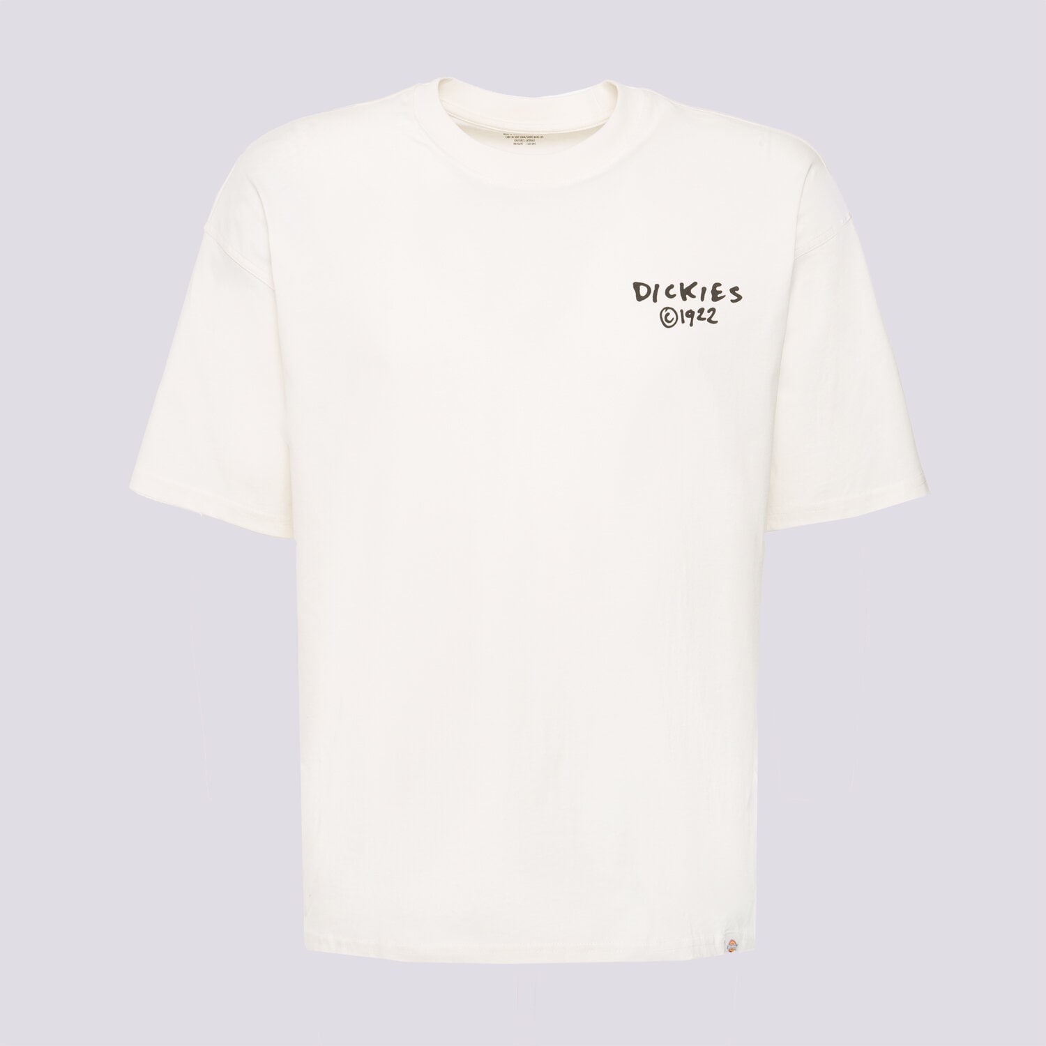 Koszulka, t-shirt sportowy męski DICKIES T-SHIRT SNEEDVILLE TEE SS DK0A87QOC481 BEŻOWY