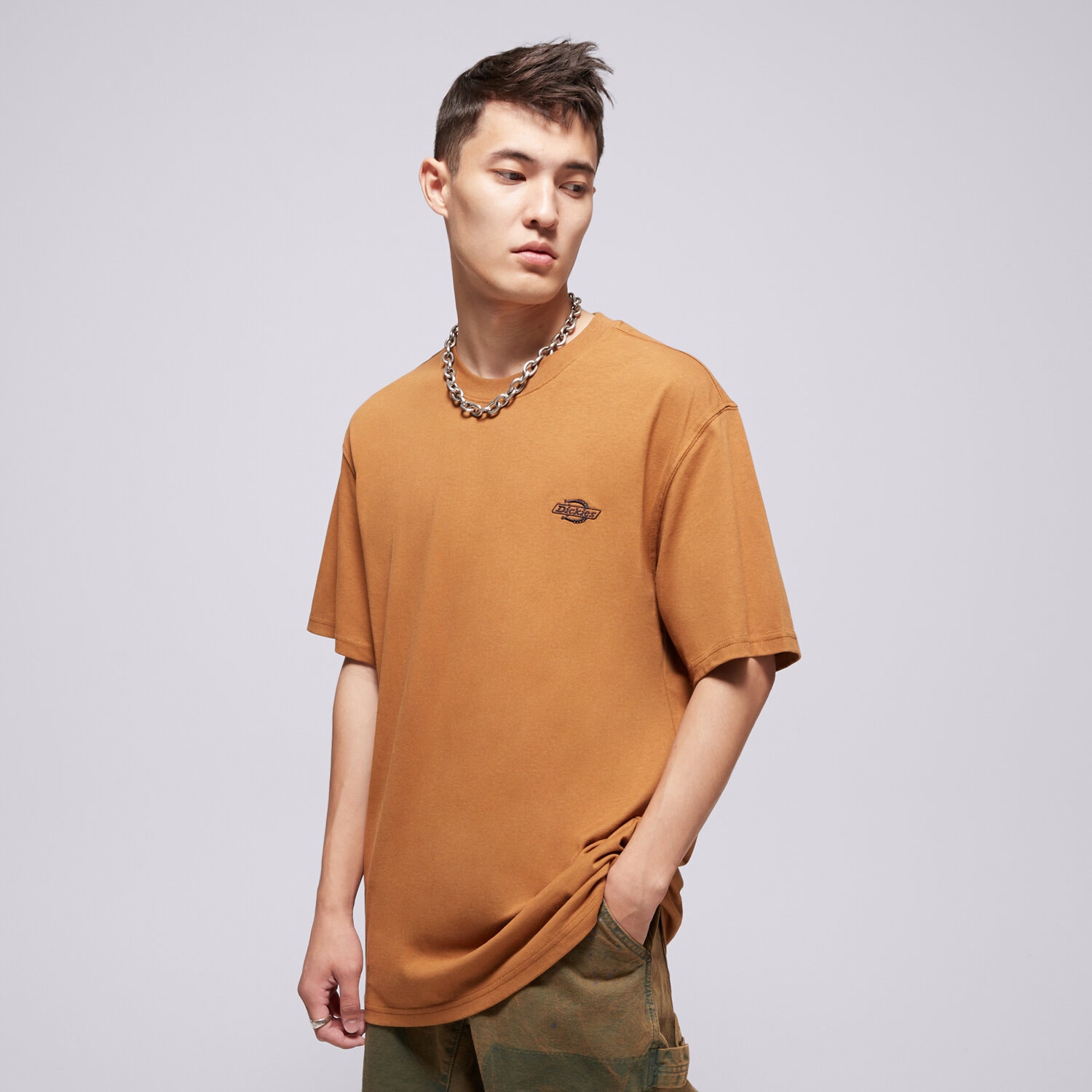 Koszulka, t-shirt sportowy męski DICKIES T-SHIRT SUMMERDALE SS TEE DK0A4YAI0BD1 BRĄZOWY