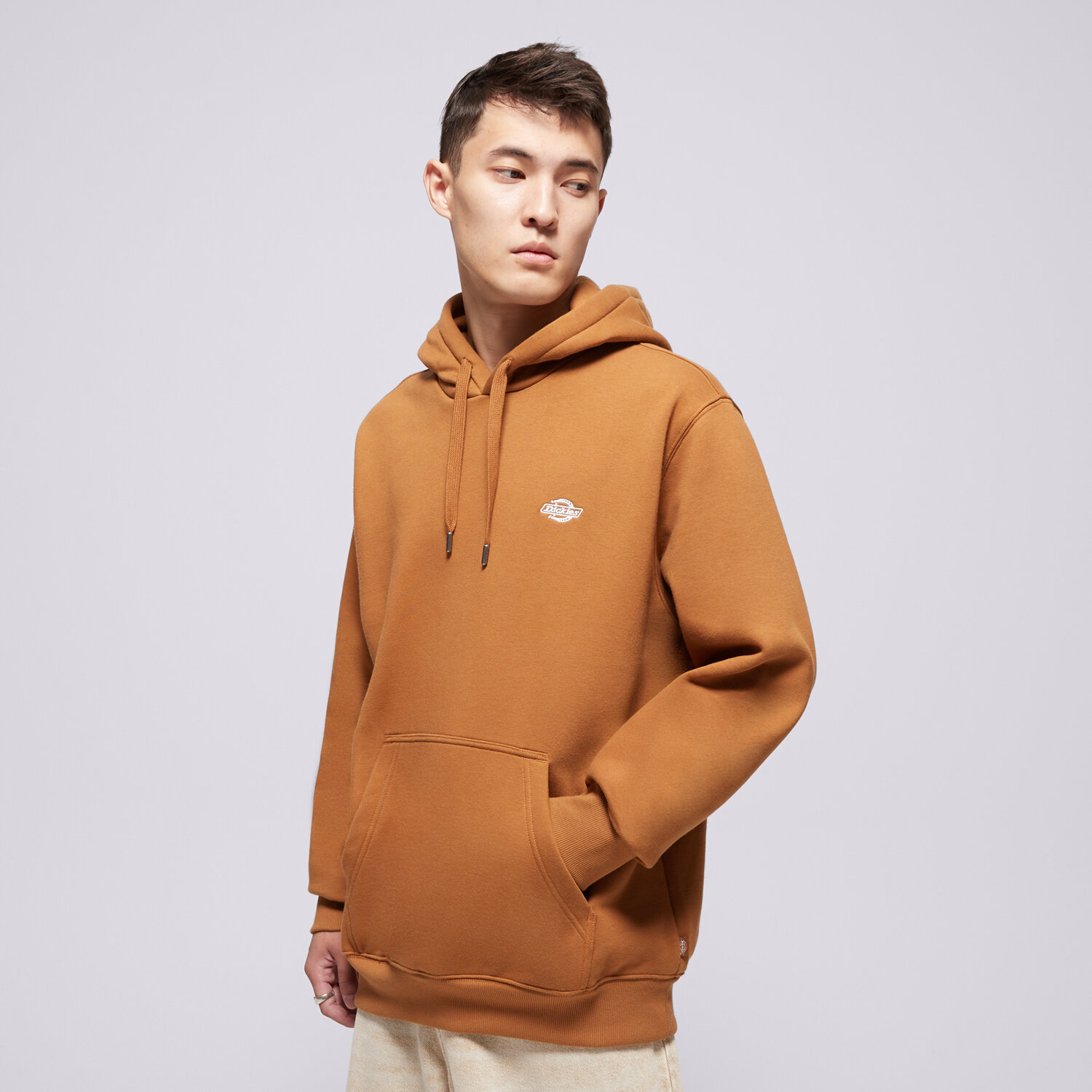 Bluza męska DICKIES BLUZA Z KAPTUREM SUMMERDALE HOODIE DK0A4Y6P0BD1 BRĄZOWY