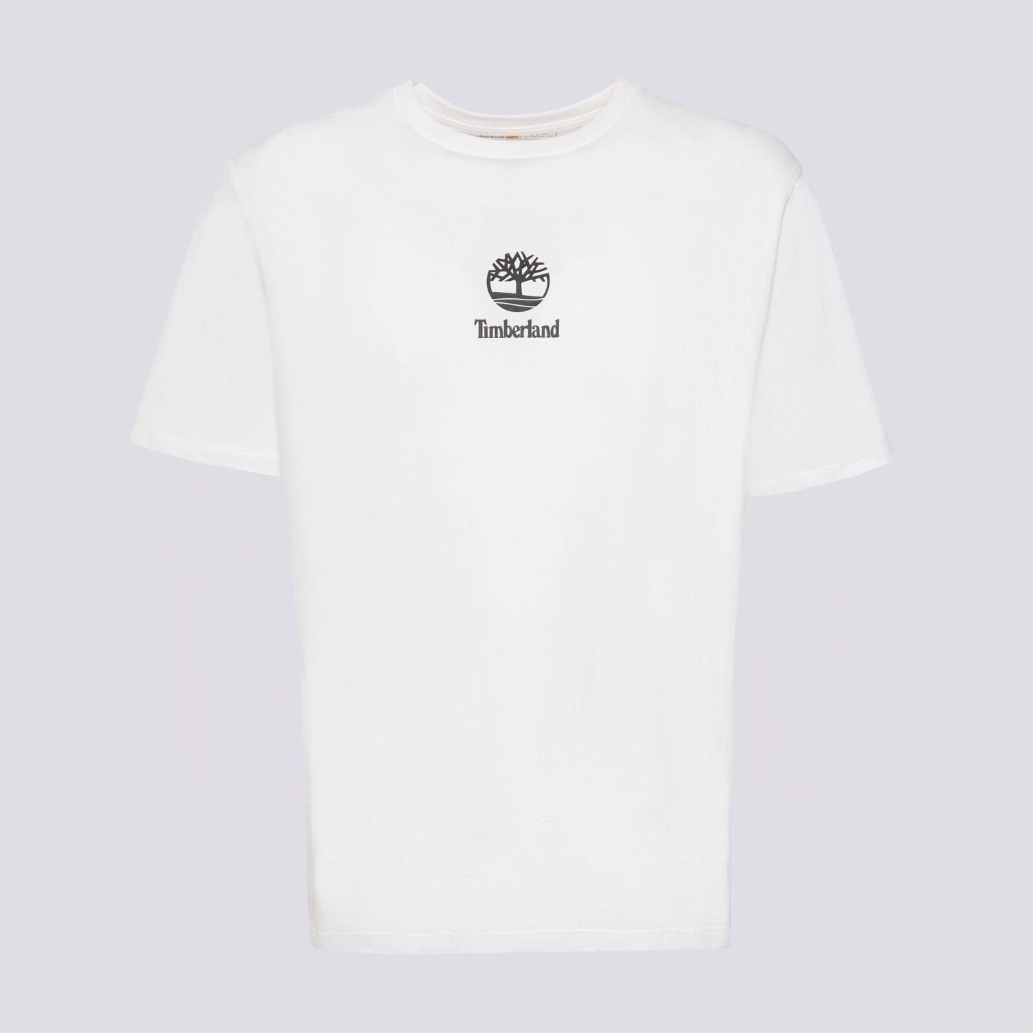 Koszulka, t-shirt sportowy męski TIMBERLAND T-SHIRT NEW SMALL LOGO PRINT SS TEE TB0A6WWT1001 BIAŁY