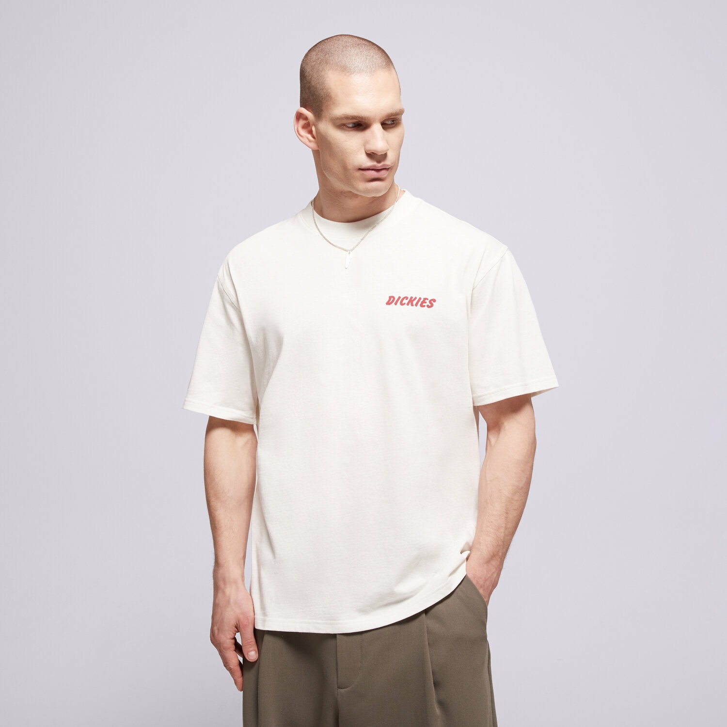 Koszulka, t-shirt sportowy męski DICKIES T-SHIRT DRY RIDGE SS TEE DK0A8853C481 BIAŁY