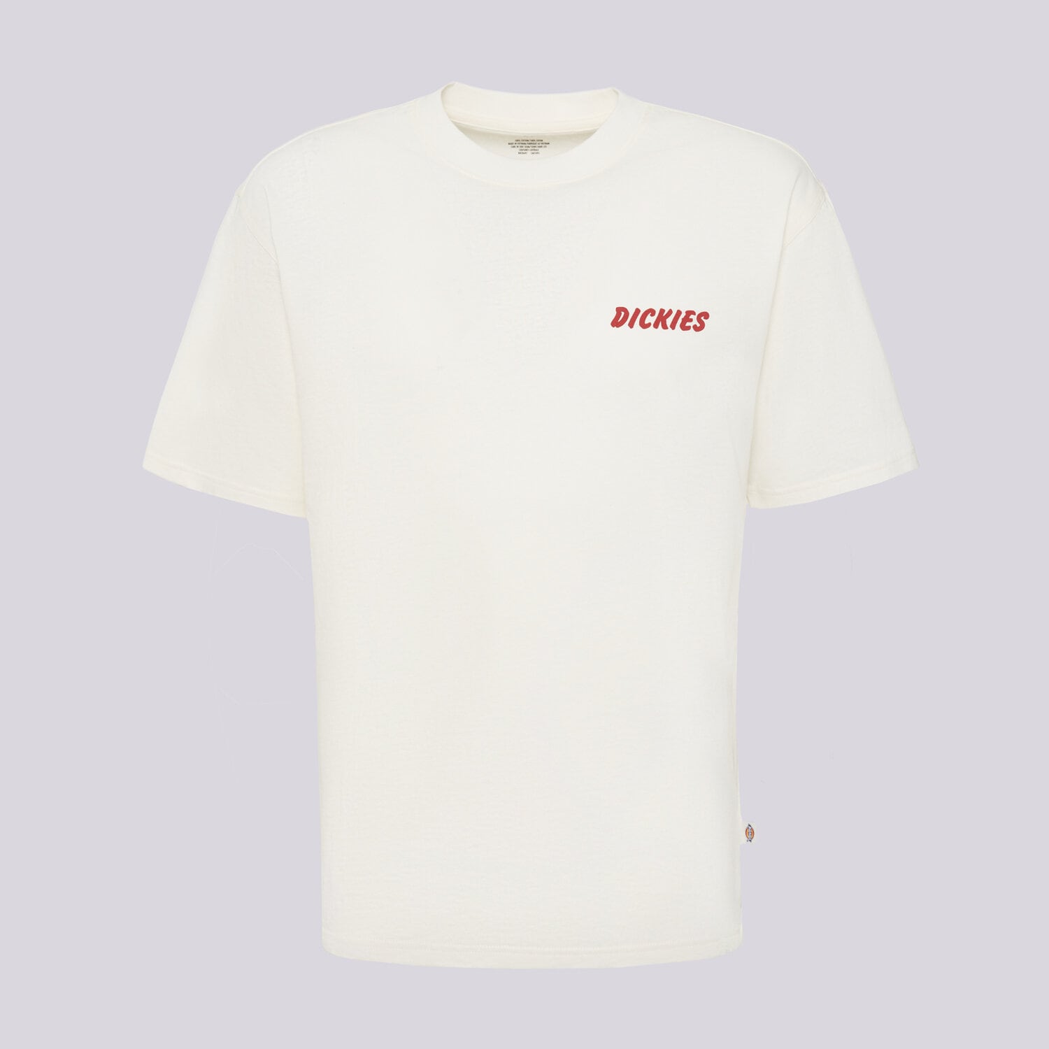 Koszulka, t-shirt sportowy męski DICKIES T-SHIRT DRY RIDGE SS TEE DK0A8853C481 BIAŁY