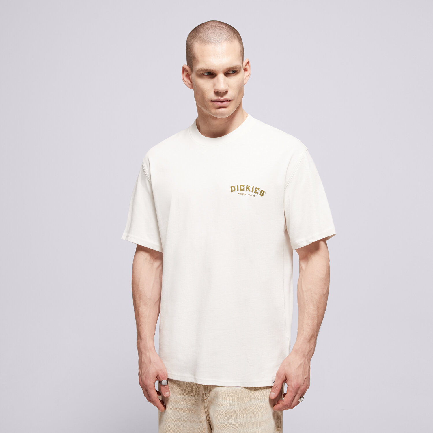 Koszulka, t-shirt sportowy męski DICKIES T-SHIRT BUILDER TEE DK0A85SYC481 BIAŁY