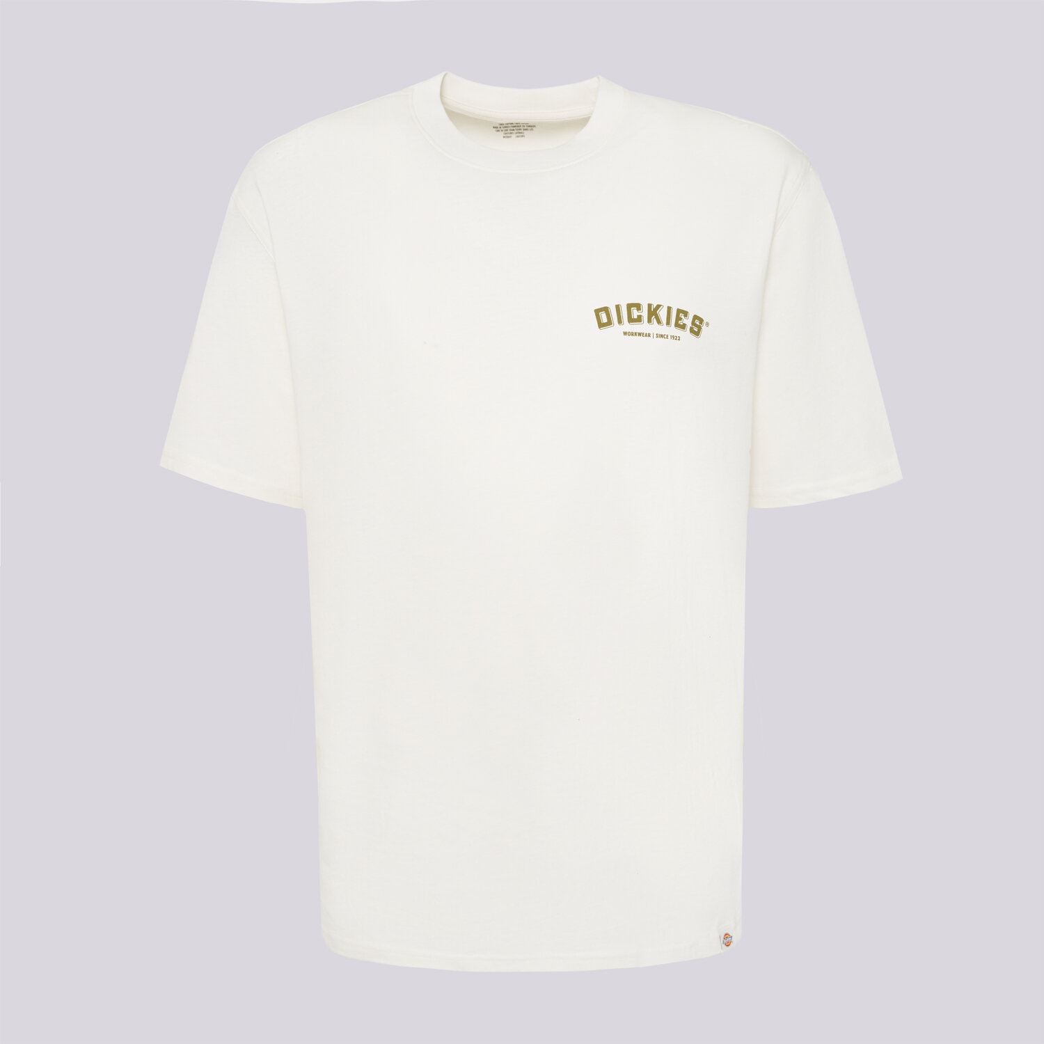Koszulka, t-shirt sportowy męski DICKIES T-SHIRT BUILDER TEE DK0A85SYC481 BIAŁY