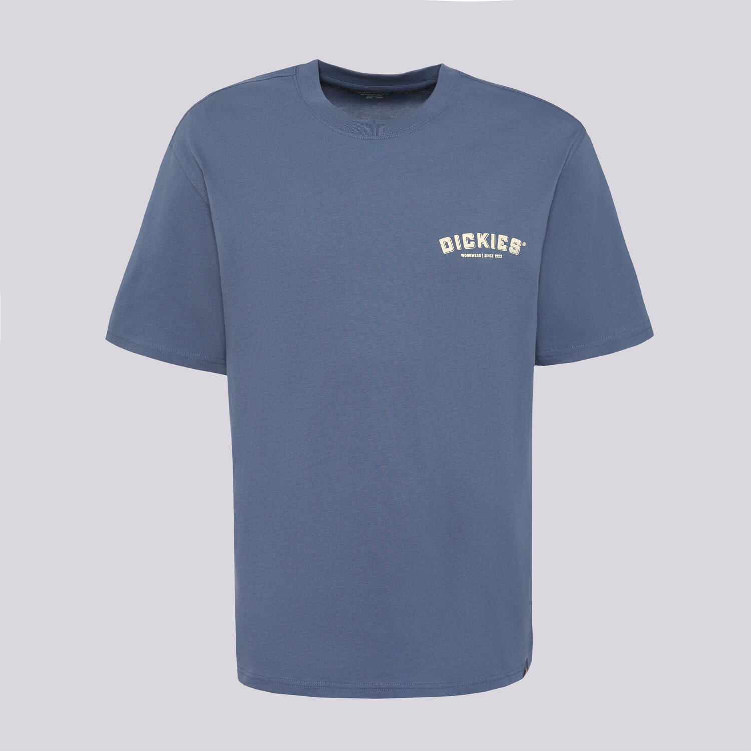 Koszulka, t-shirt sportowy męski DICKIES T-SHIRT BUILDER TEE DK0A85SYRI21 NIEBIESKI
