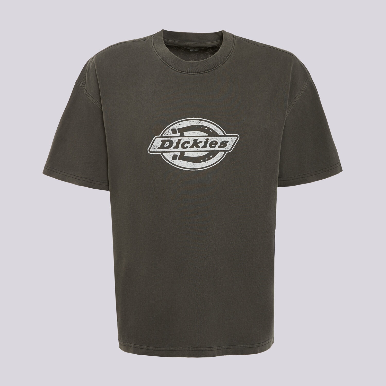 Koszulka, t-shirt sportowy męski DICKIES T-SHIRT PLAINVILLE SS TEE DK0A88GNBLK1 SZARY