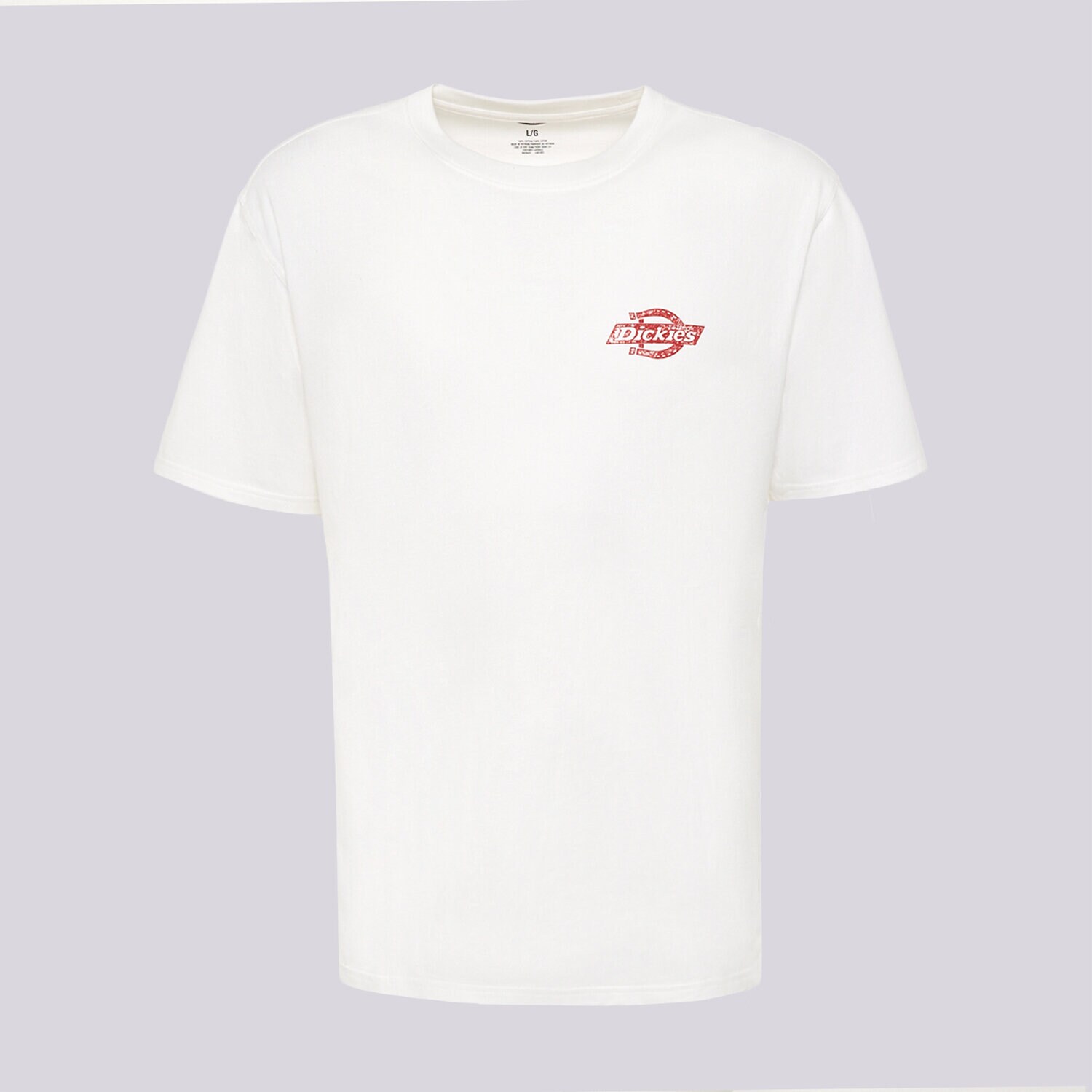 Koszulka, t-shirt sportowy męski DICKIES T-SHIRT CHINLE SS TEE DK0A8DTF0WH1 BIAŁY
