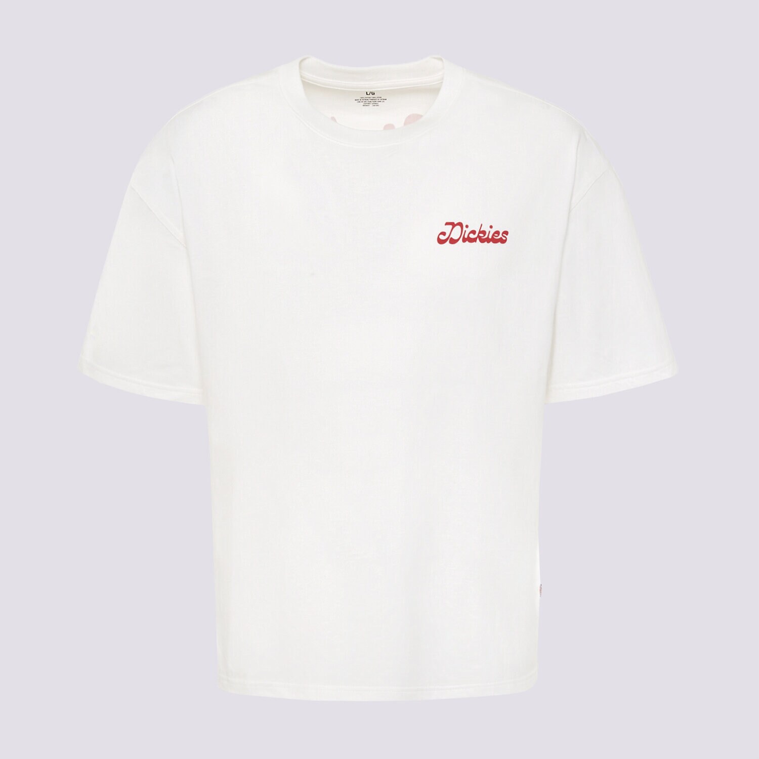 Koszulka, t-shirt sportowy męski DICKIES T-SHIRT CORNVILLE SS TEE DK0A8D3I0WH1 BIAŁY