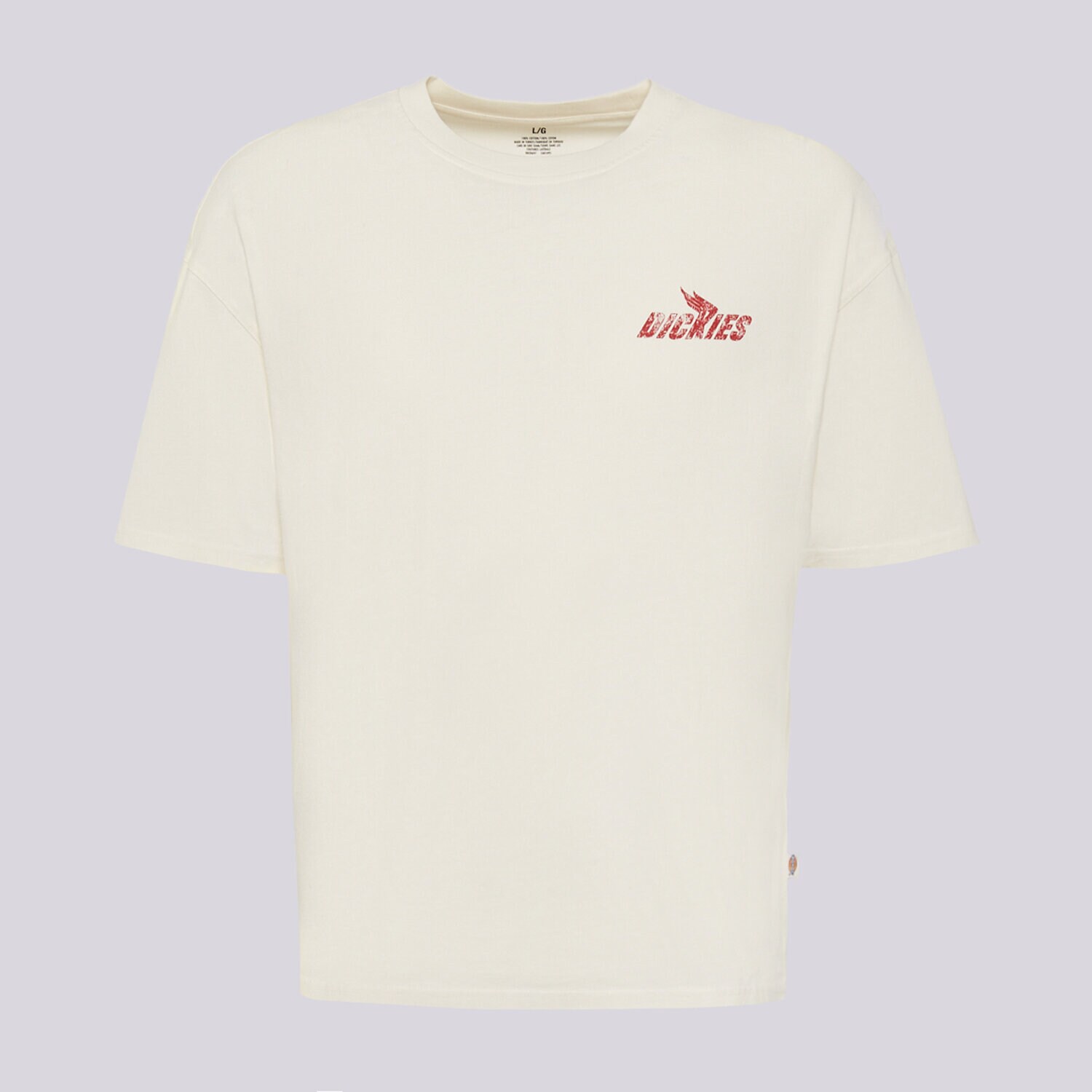 Koszulka, t-shirt sportowy męski DICKIES T-SHIRT SHONTO SS TEE DK0A8CCLC481 BIAŁY