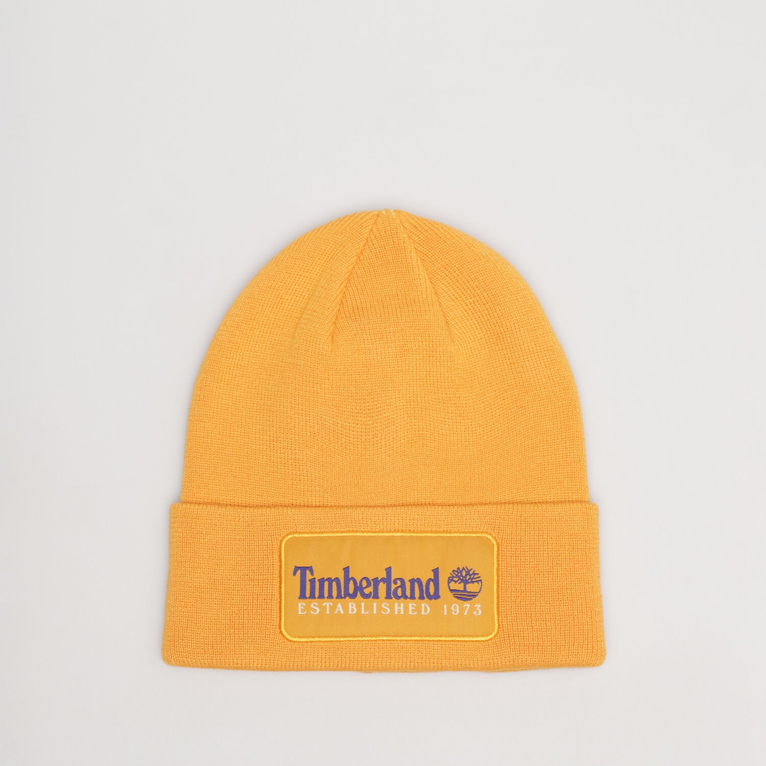 Czapka zimowa dla dzieci TIMBERLAND CZAPKA ESTABLISHED 1973 TB0A2PTD8041 ŻÓŁTY