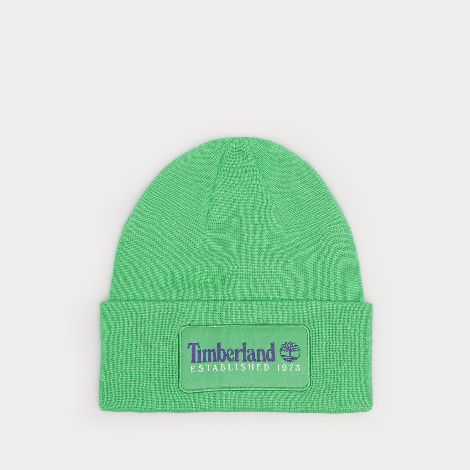 Czapka zimowa dla dzieci TIMBERLAND CZAPKA ESTABLISHED 1973 TB0A2PTDH311 ZIELONY