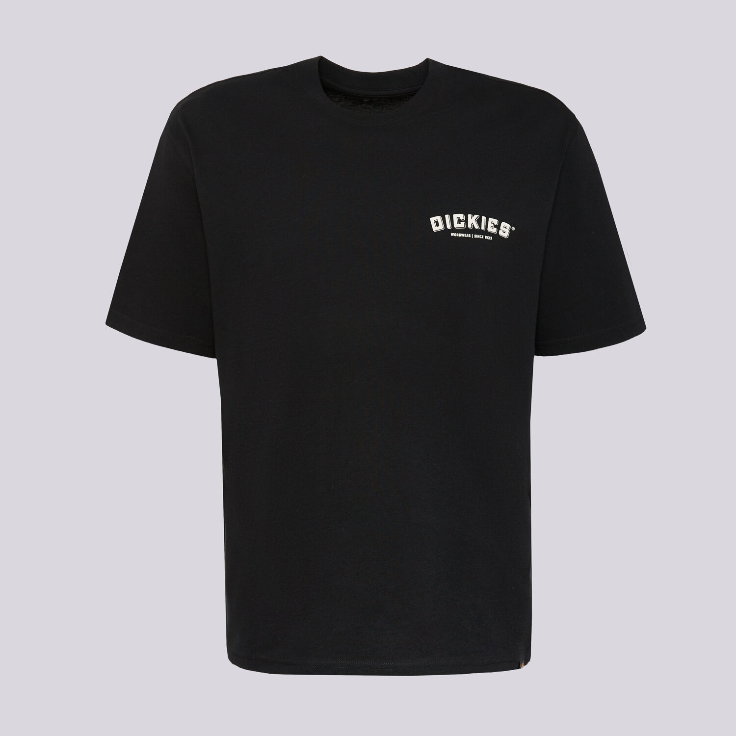 Koszulka, t-shirt sportowy męski DICKIES T-SHIRT BUILDER TEE DK0A85SYBLK1 CZARNY
